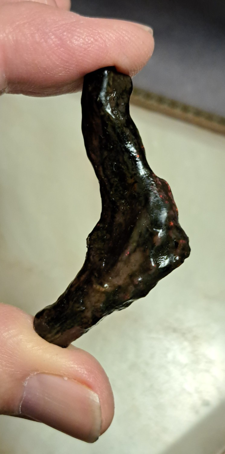Huge Multicolor 38.52ct Indonesian Wood Opal Fossil Red, Green, & Yellow Flashes