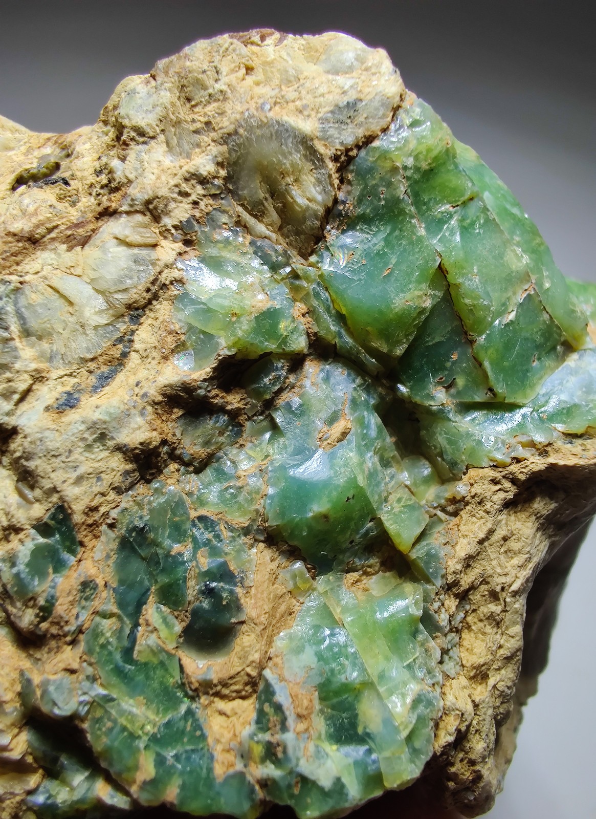 Opal on Sepentine with Magnetite, UV. San Benito, California. 213 grams.