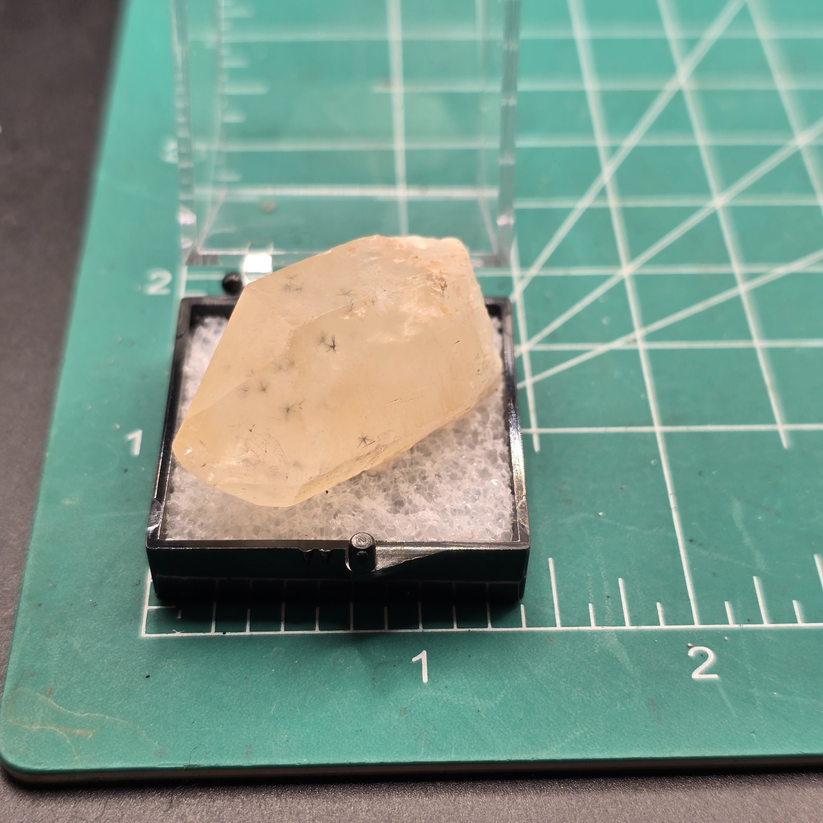Hollandite Spider Quartz Point Crystal Madagascar Gemstone Specimen in Perky Box