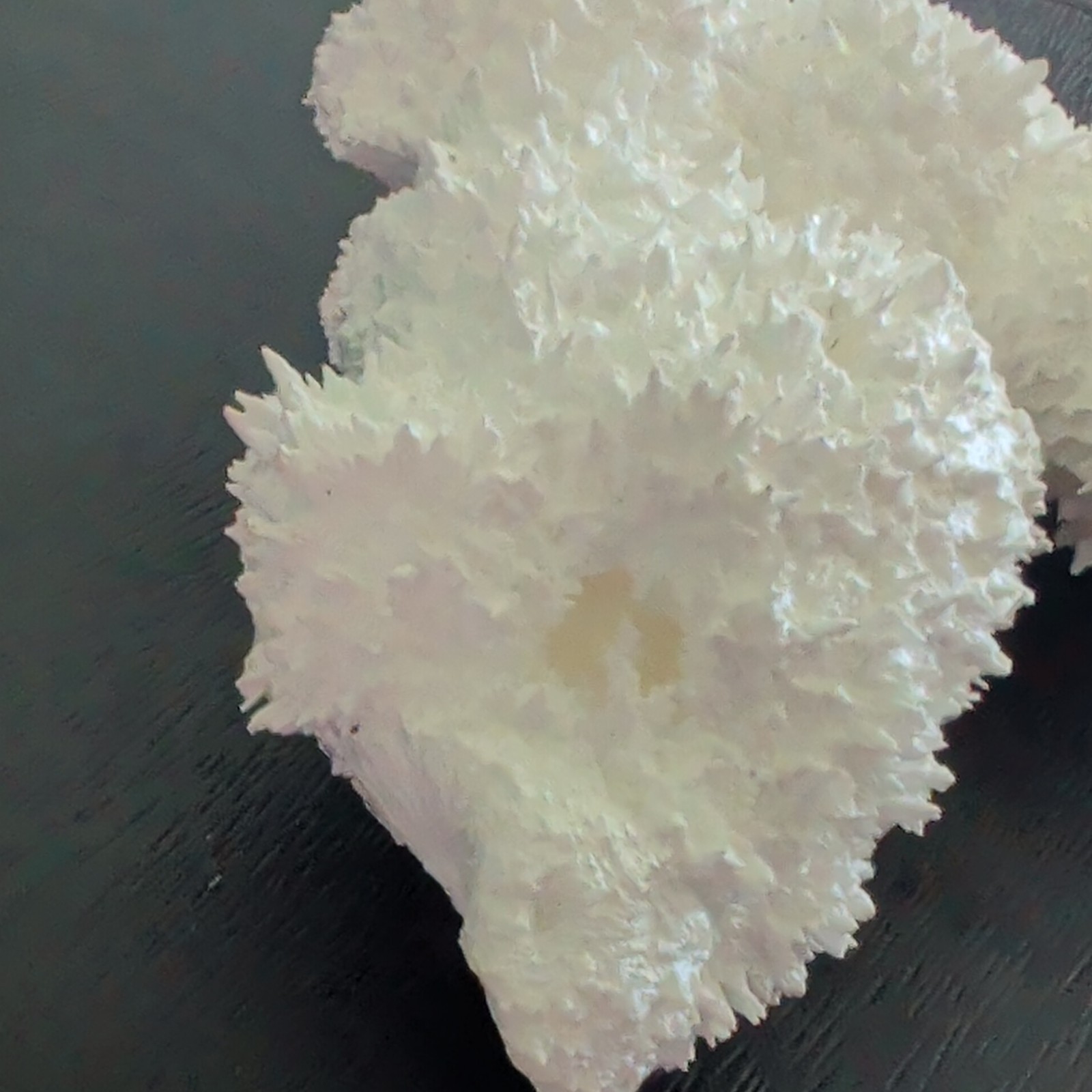 Aragonite Crystal Cluster Mineral Display 6 in Cave Calcite/Sugar Apophyllite