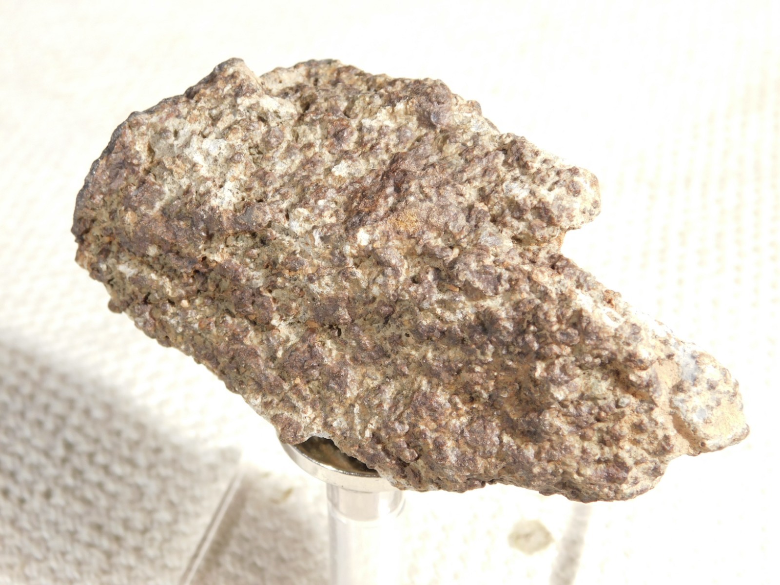 Classified NWA 8245 METEORITE Spots of Dark Fusion Crust! Erfoud, Morocco 136gr