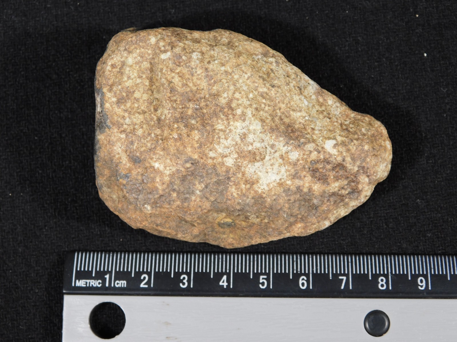 Larger Classified NWA 8245 METEORITE 100% Natural! Erfoud, Morocco 207gr