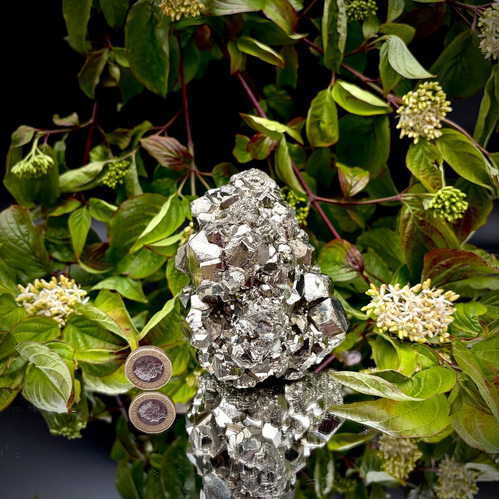 Large High-Grade AA Peruvian Pyrite Crystal Cluster #59 | Collectors Peruvian