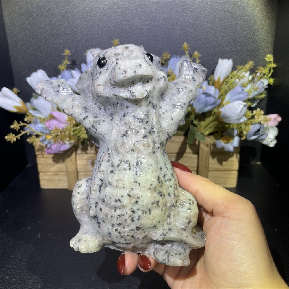 2.4LB 6.6″ Natural Creek Jasper Baby Dragon Decor Mineral Crystal Heal Gift