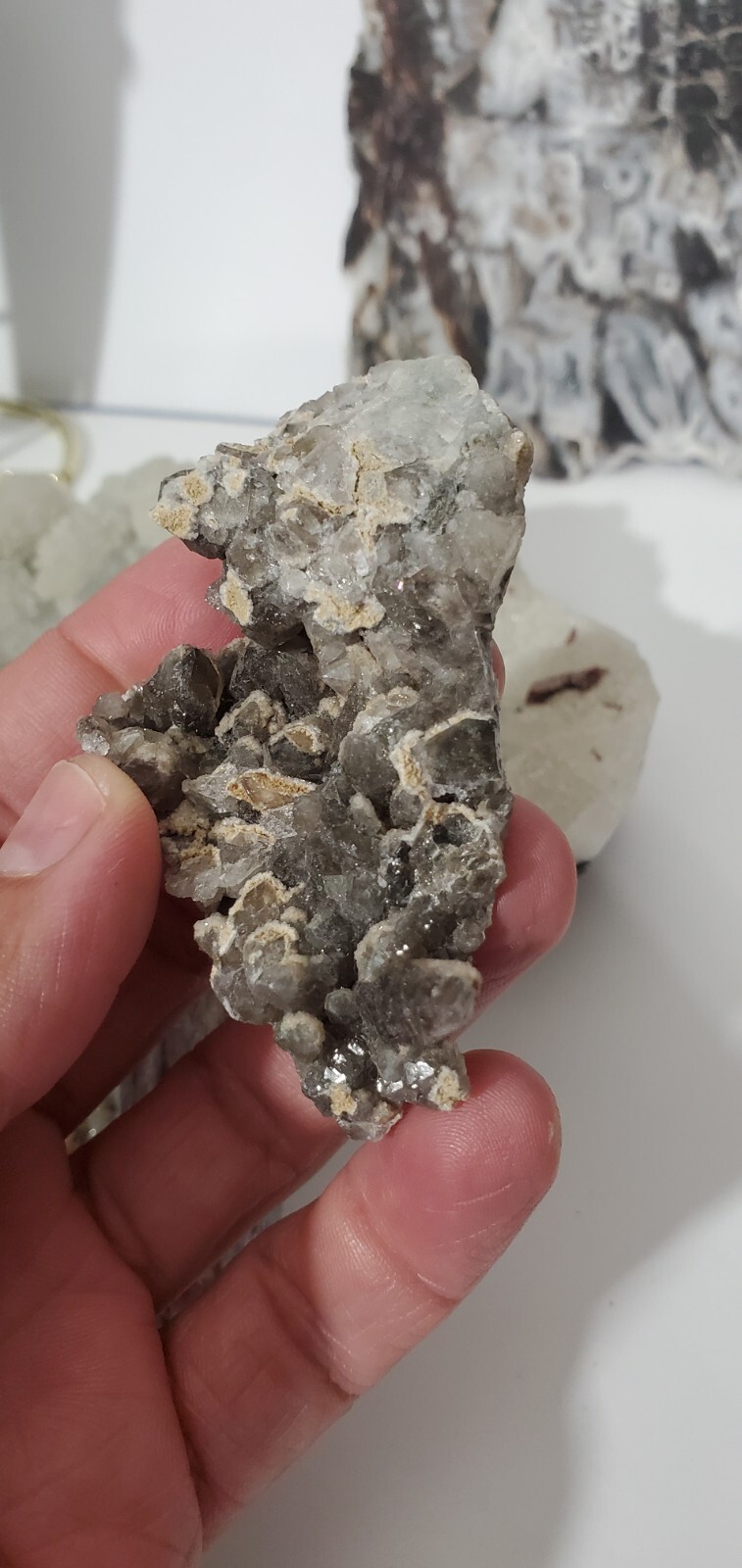 7 Raw Specimen Set – Rough Gemstones Assorted – Mixed Lot Healing Crystals Sp69