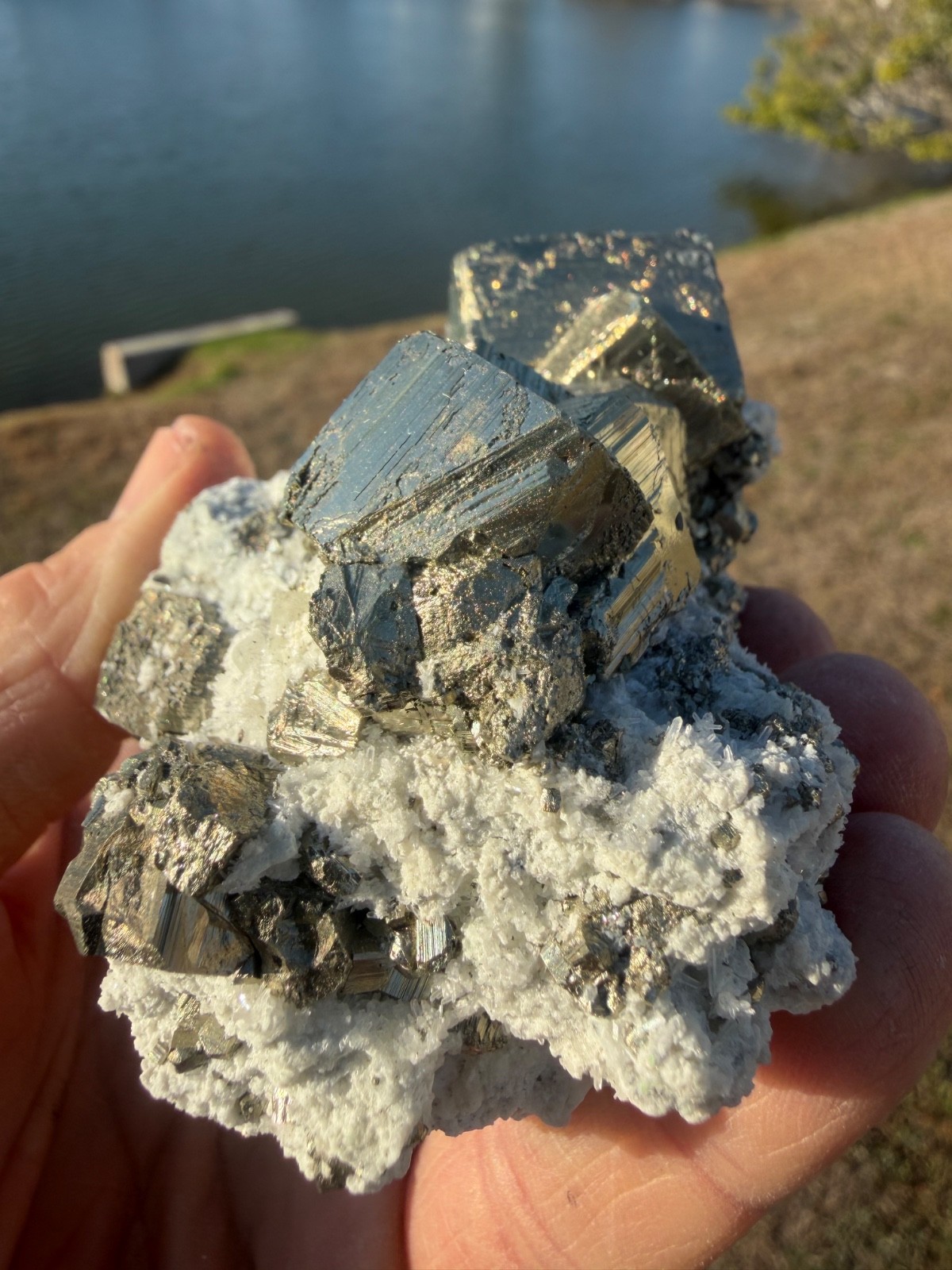 AAA PYRITE Crystal CUBE Cluster Huanzala Mine Peru 346gr 4″+ wide
