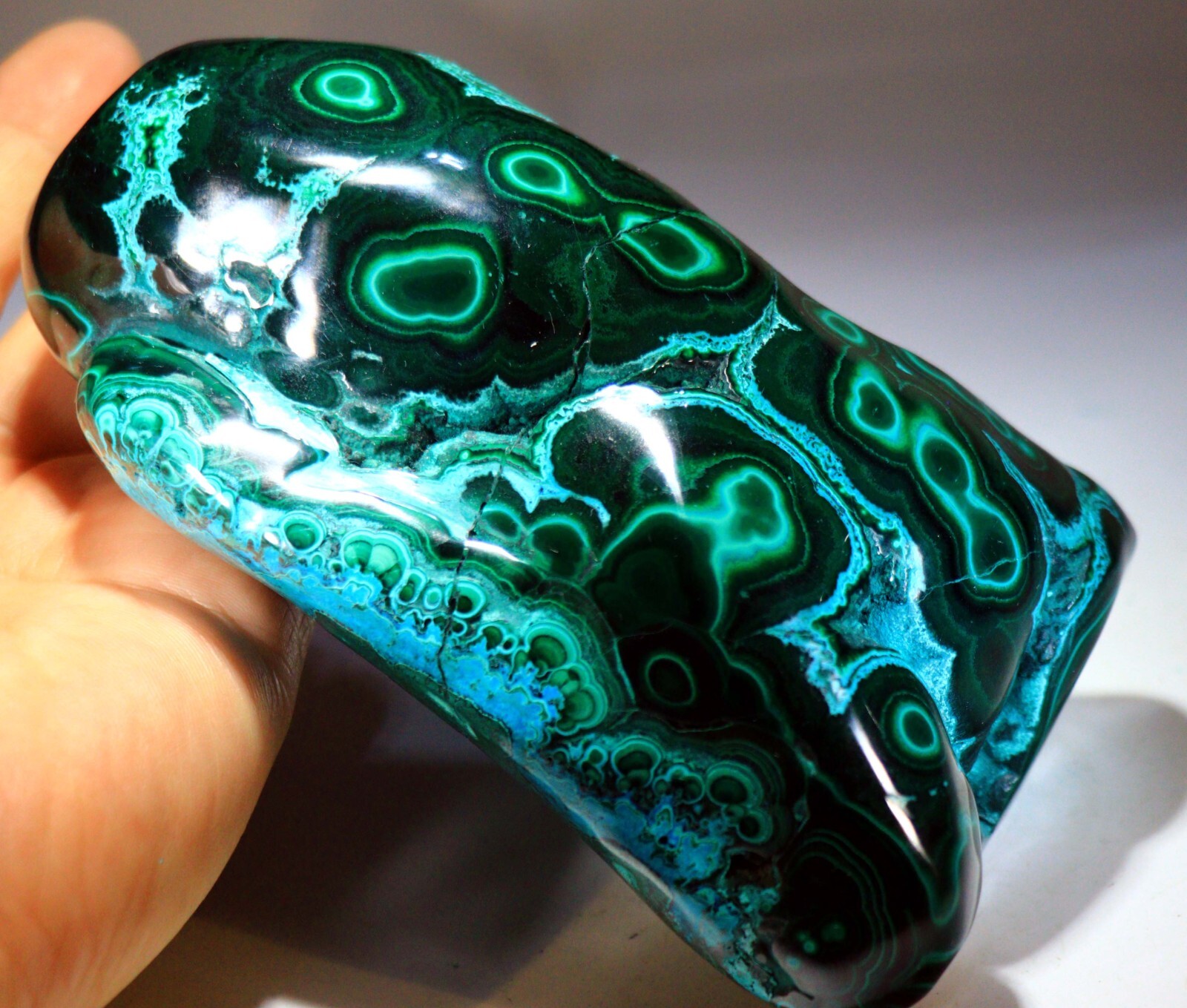 5.75 in 2 lb 12.6 oz Vivid Chrysocolla Malachite w/Superb Pattern, Congo! CR178