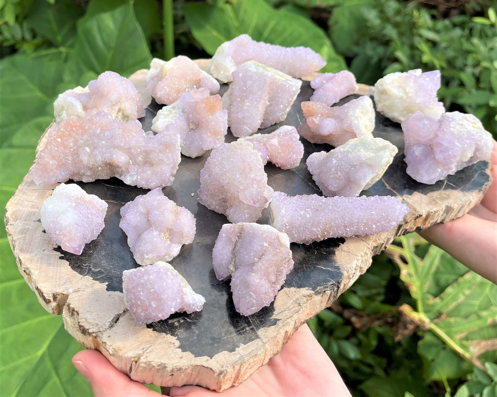 RARE Spirit Quartz Clusters Box: 8 oz, 5-6 Pieces (‘AAA’ Grade Natural Crystals)