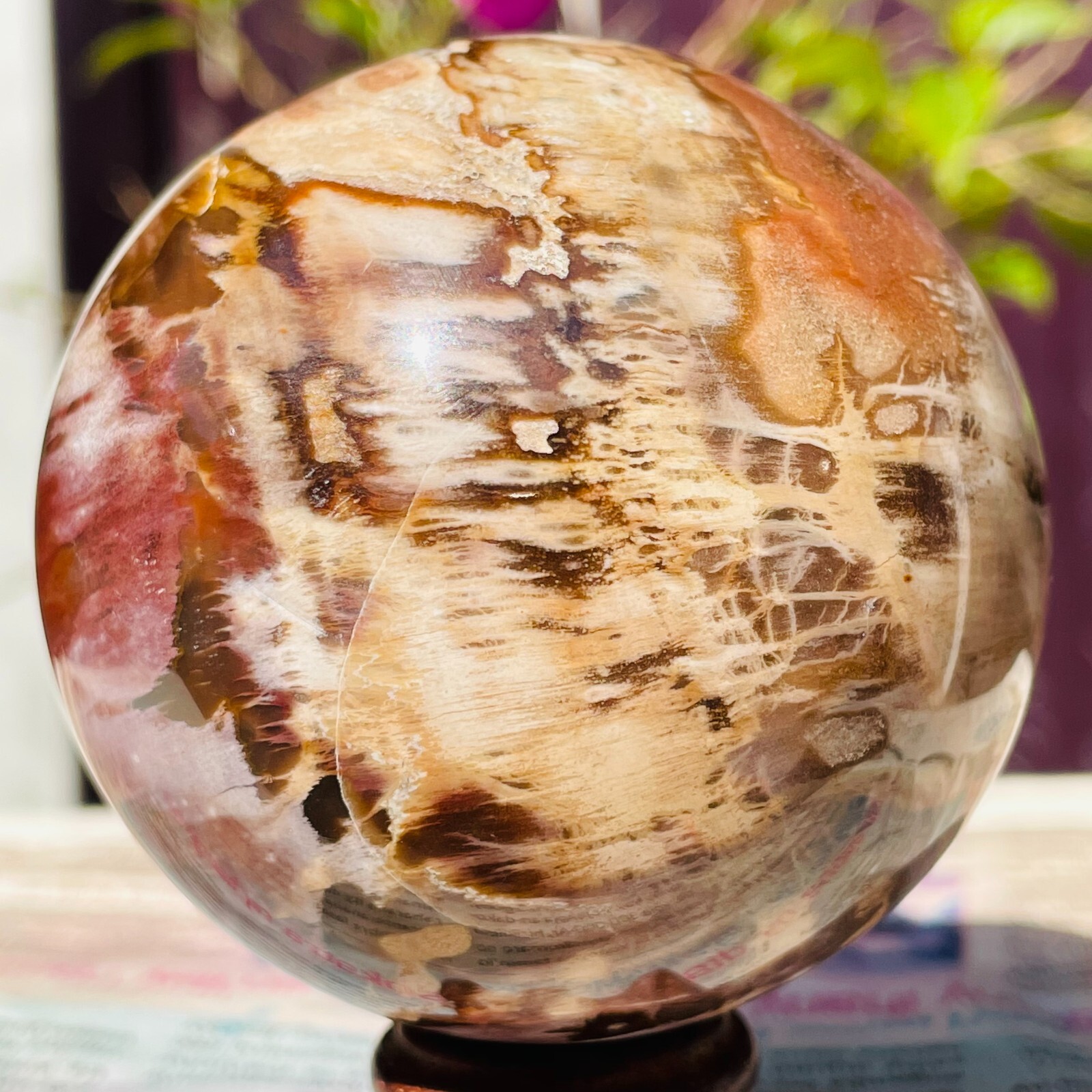 488g Natural Red Petrified Wood Crystal Ball Fossil Polished Sphere Specimen