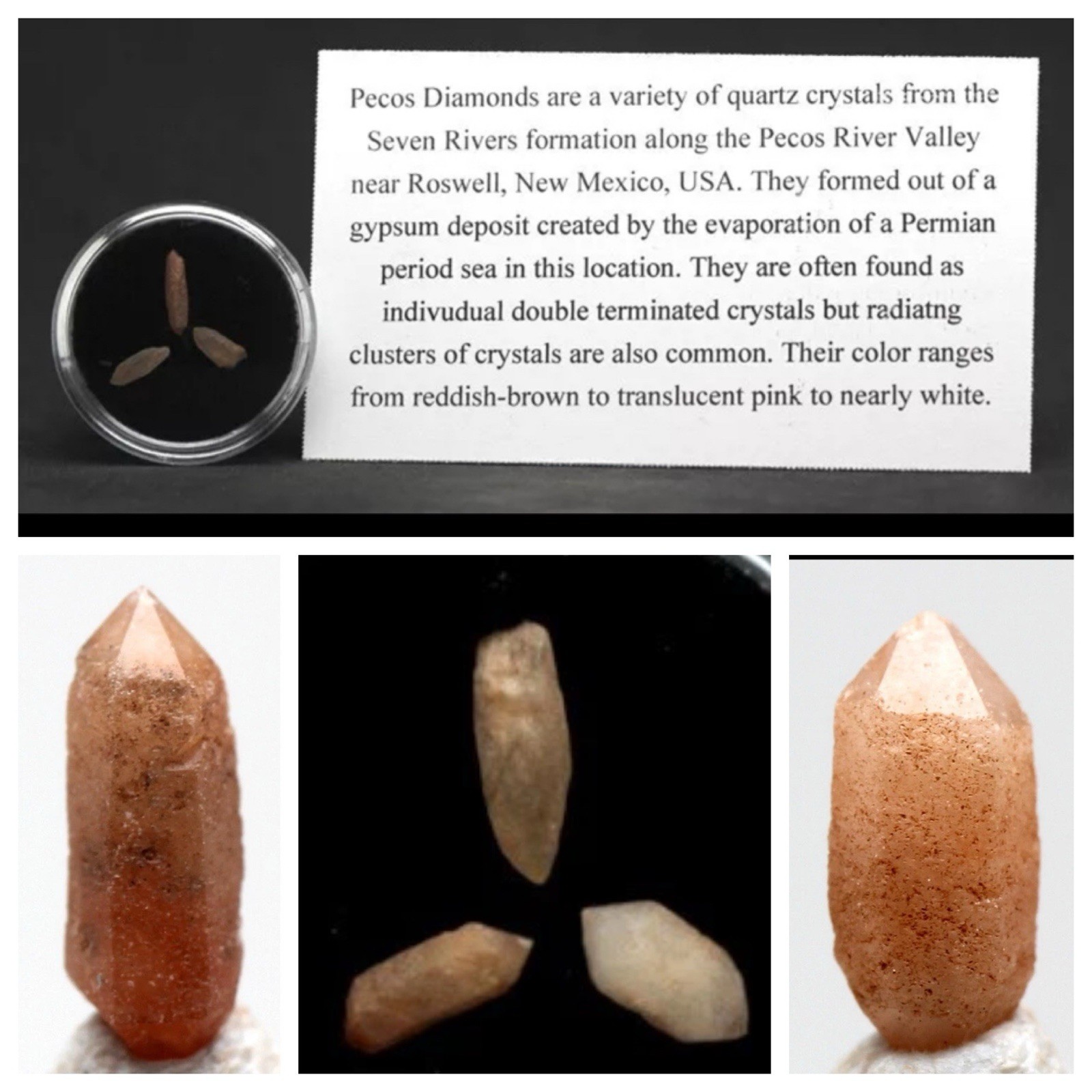 PECOS DIAMOND QUARTZ Specimen Crystal Cluster Mineral NEW MEXICO 3PCS w/ ID card
