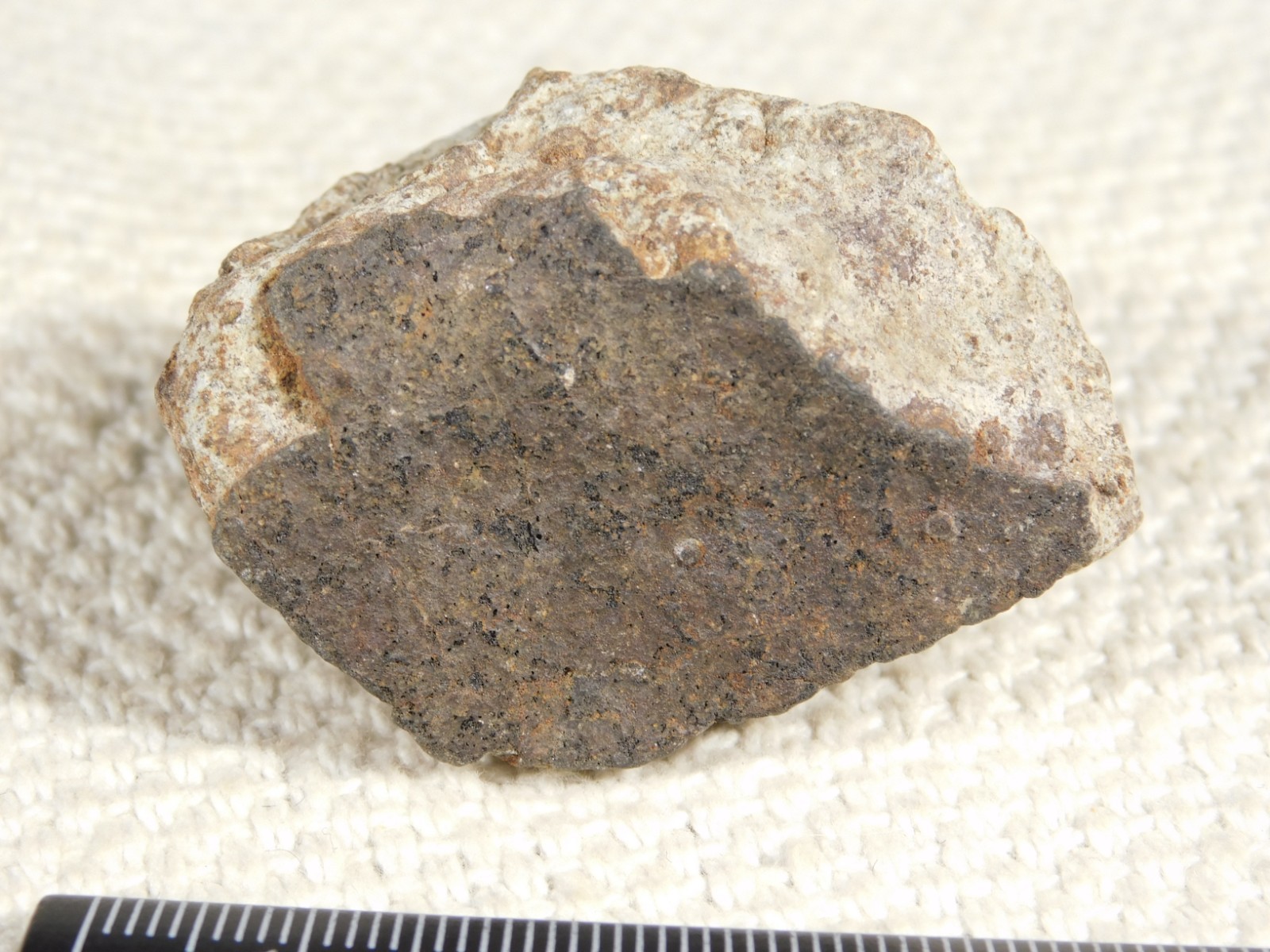 Classified NWA 8245 METEORITE 100% Natural FELL on Erfoud, Morocco 68.0gr