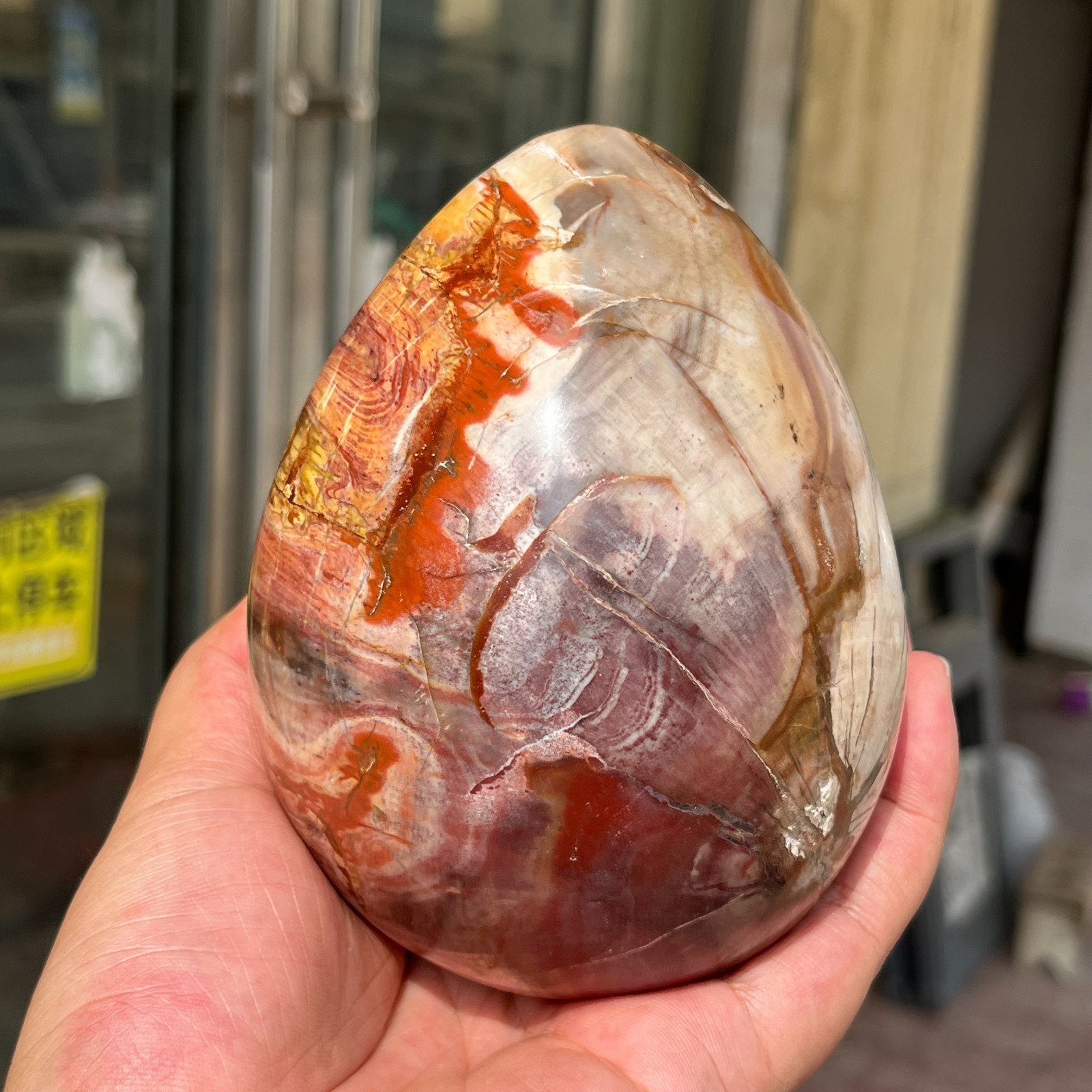 3.28LB Large Amazing Natural Petrified Wood Fossil Stone Egg Crystal Healing