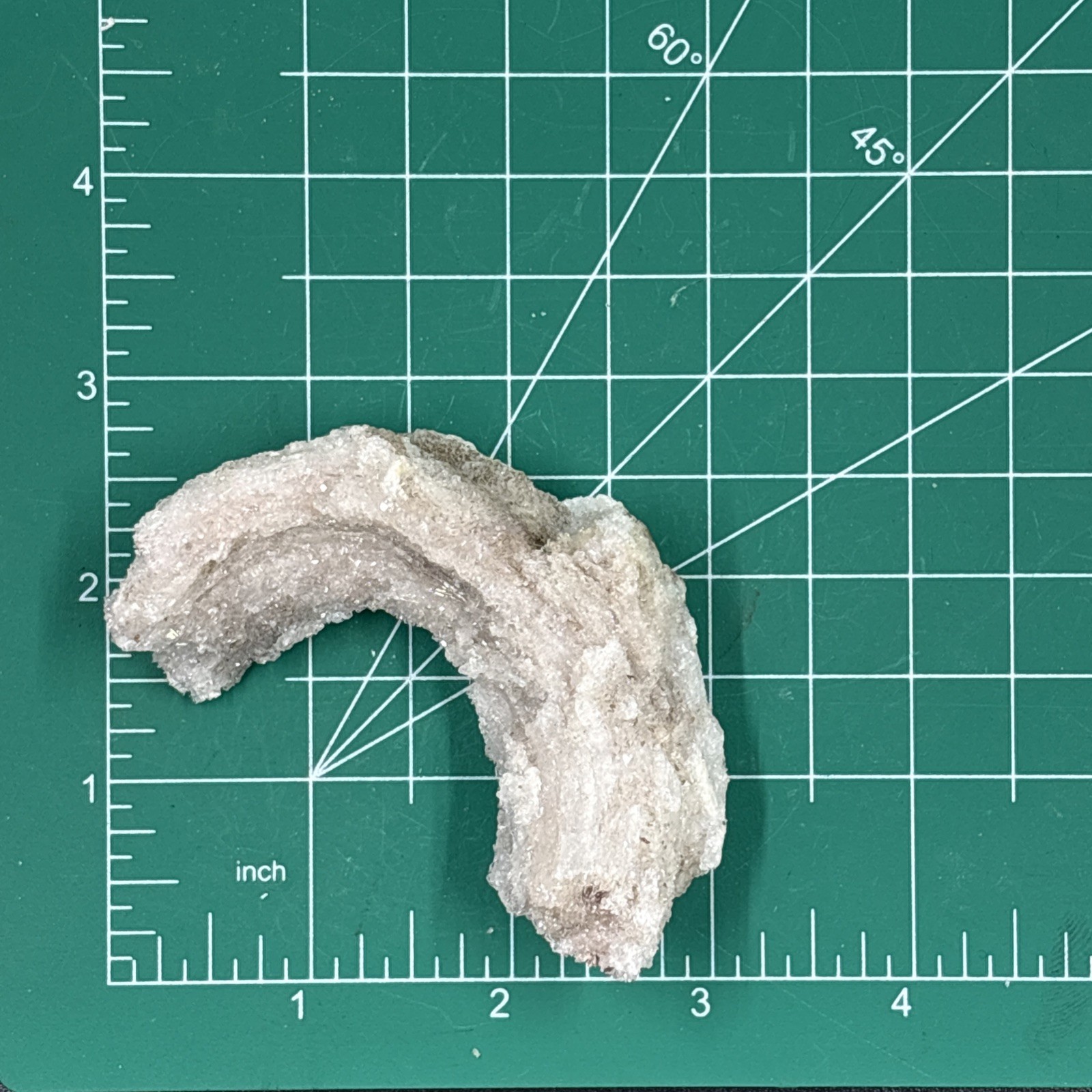 63g Natural Ram’s Horn Selenite Gypsum Crystal Specimen from Guizhou, China