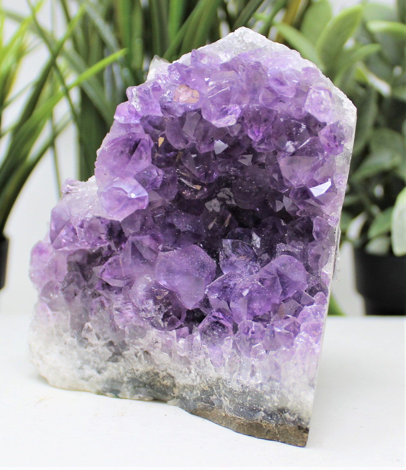 Stunning EXTRA LARGE Amethyst Cut Base Cluster Crystal Quartz Geode 12 oz – 1 lb