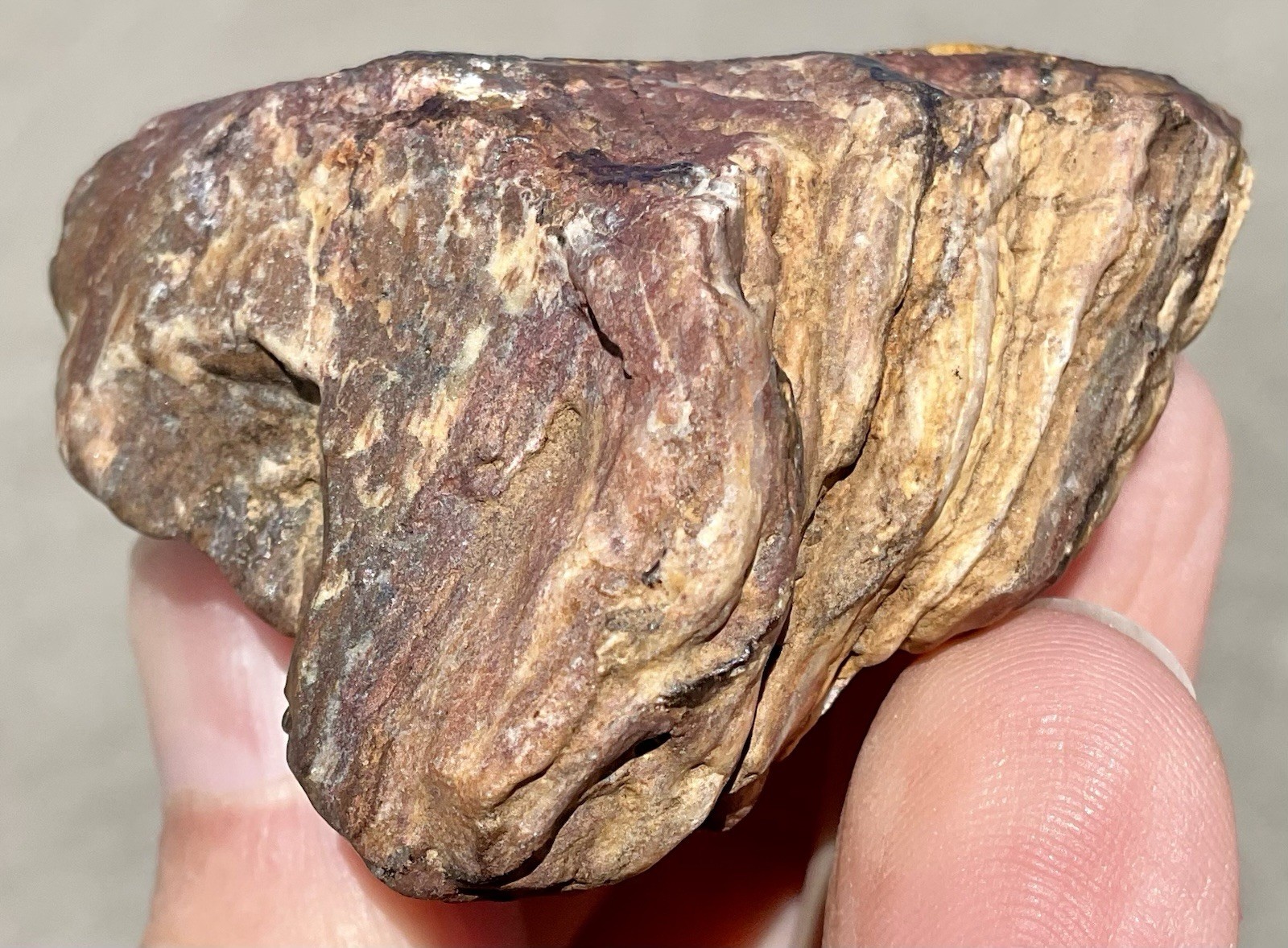 141g Banded Iron Petrified Wood Pseudomorph Rare Minnesota Rough Lapidary