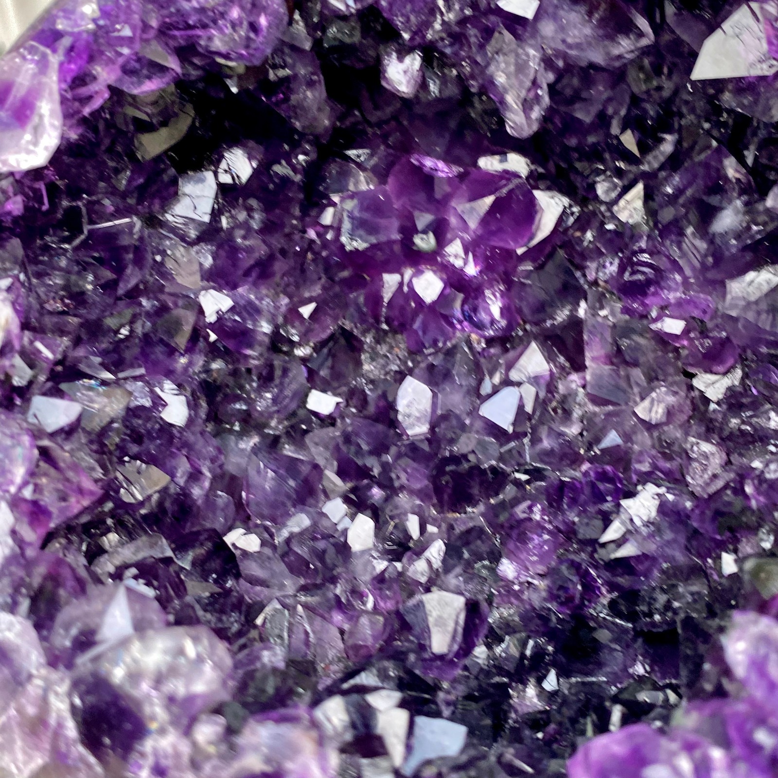6.59LB High quality Natural Amethyst geode quartz crystal Dinosaur egg healing