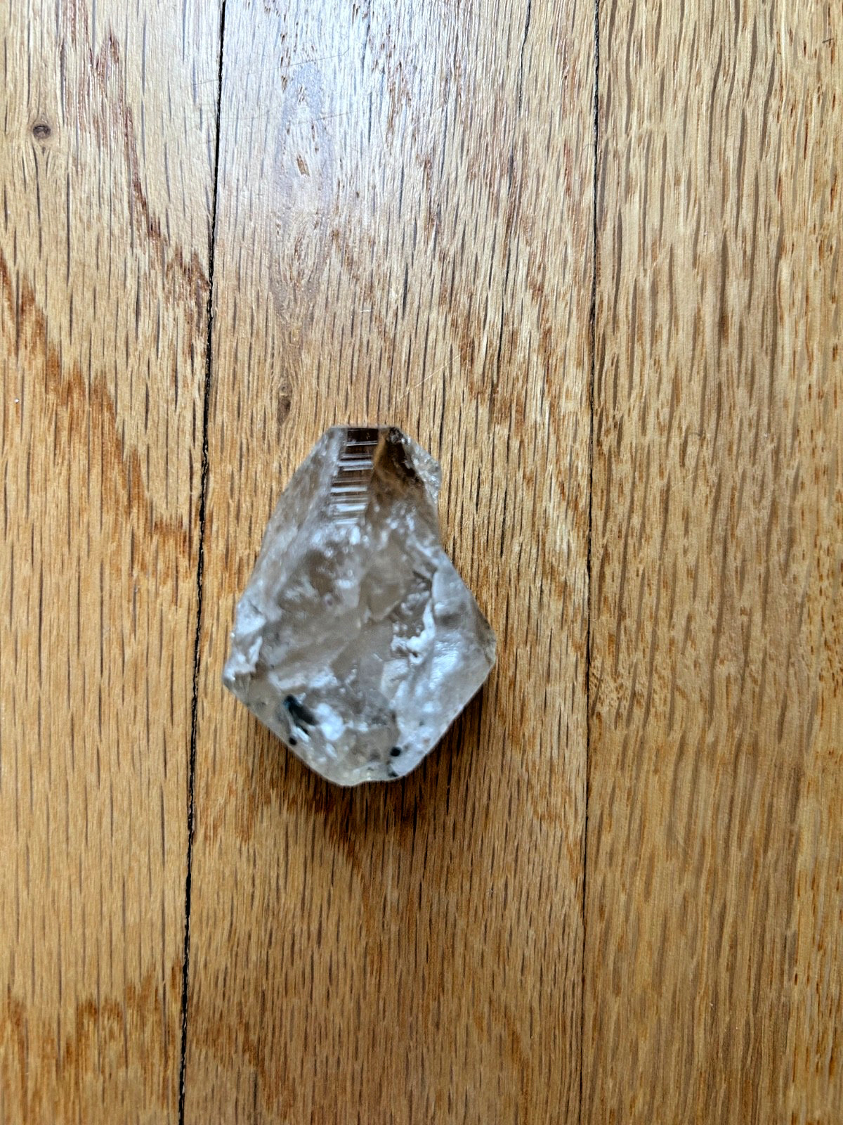 Natural Tourmalated Elestial Quartz Point Mineral Specimen 56g 2.25 inches