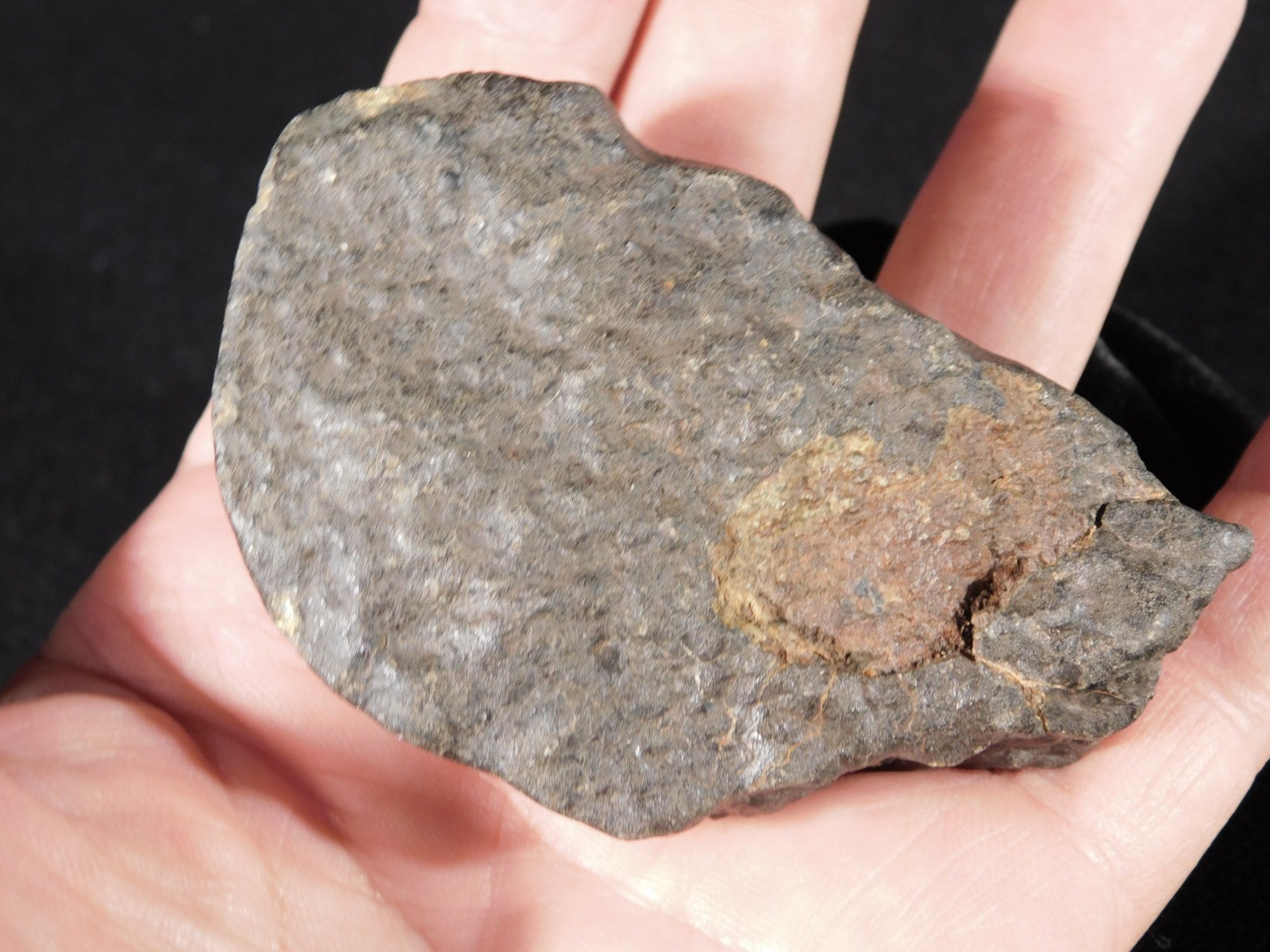 wOw! Larger! Stony METEORITE with DARK Silky Fusion Crust! FELL in Libya 219gr