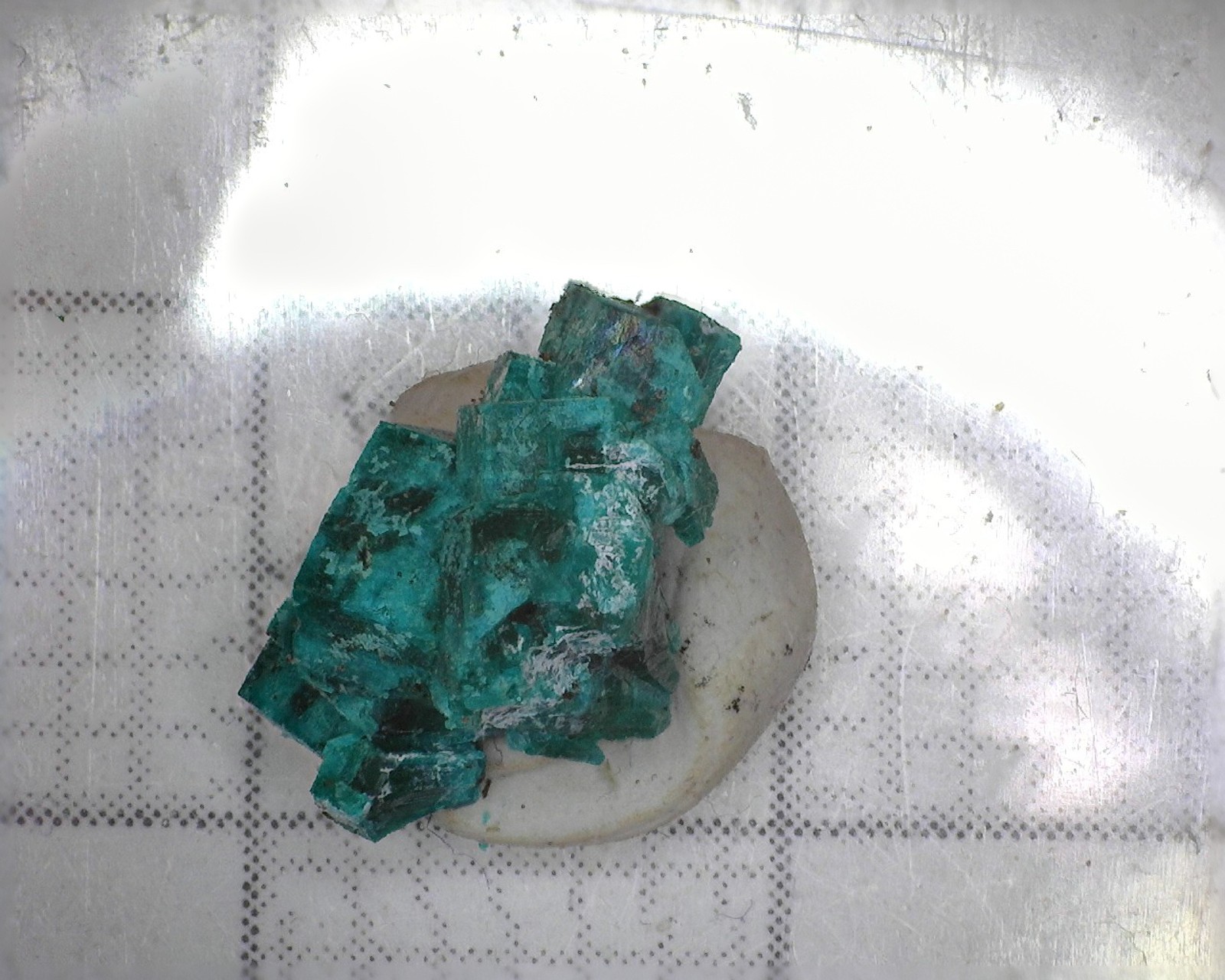 05794 MM Dioptase MD010257 Namibia (No Specific Location)