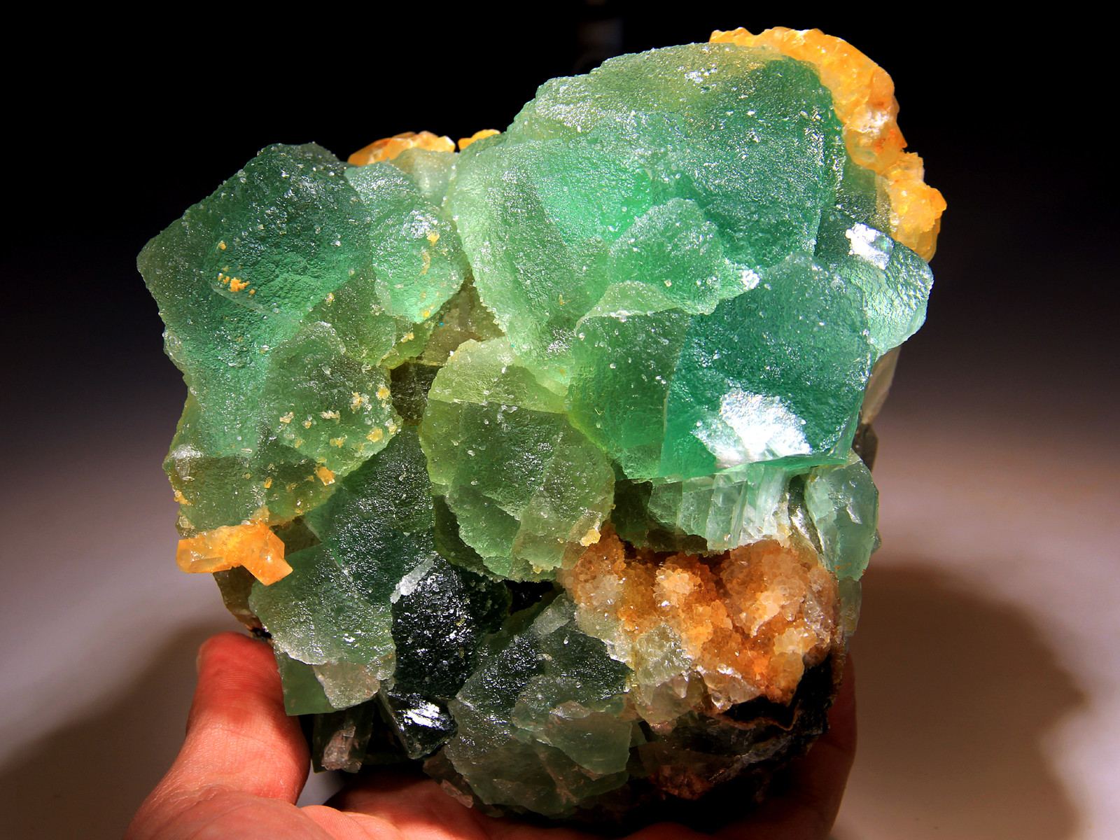 5.75″ Golden Barite on Green Fluorite, Super Color Contrast! Hunan, China! FL265