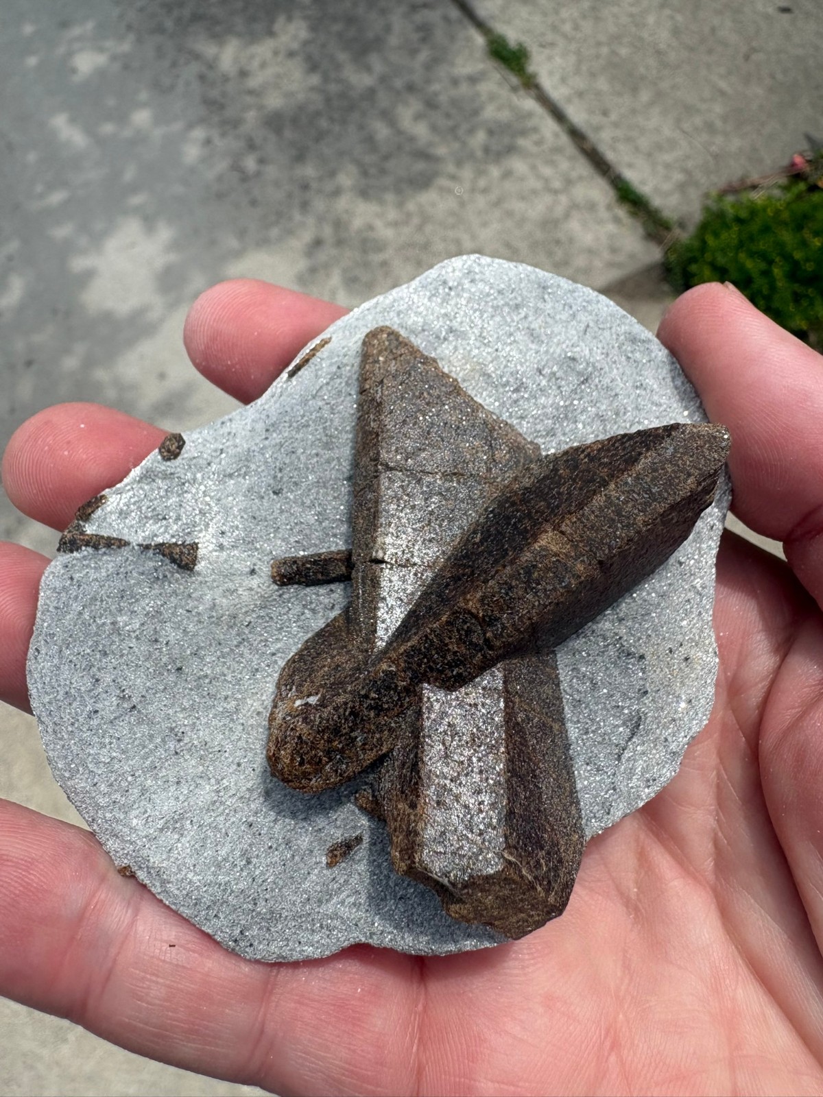 Staurolite, “fairy cross”, Keivy Mountains, Kola Peninsula, Russia