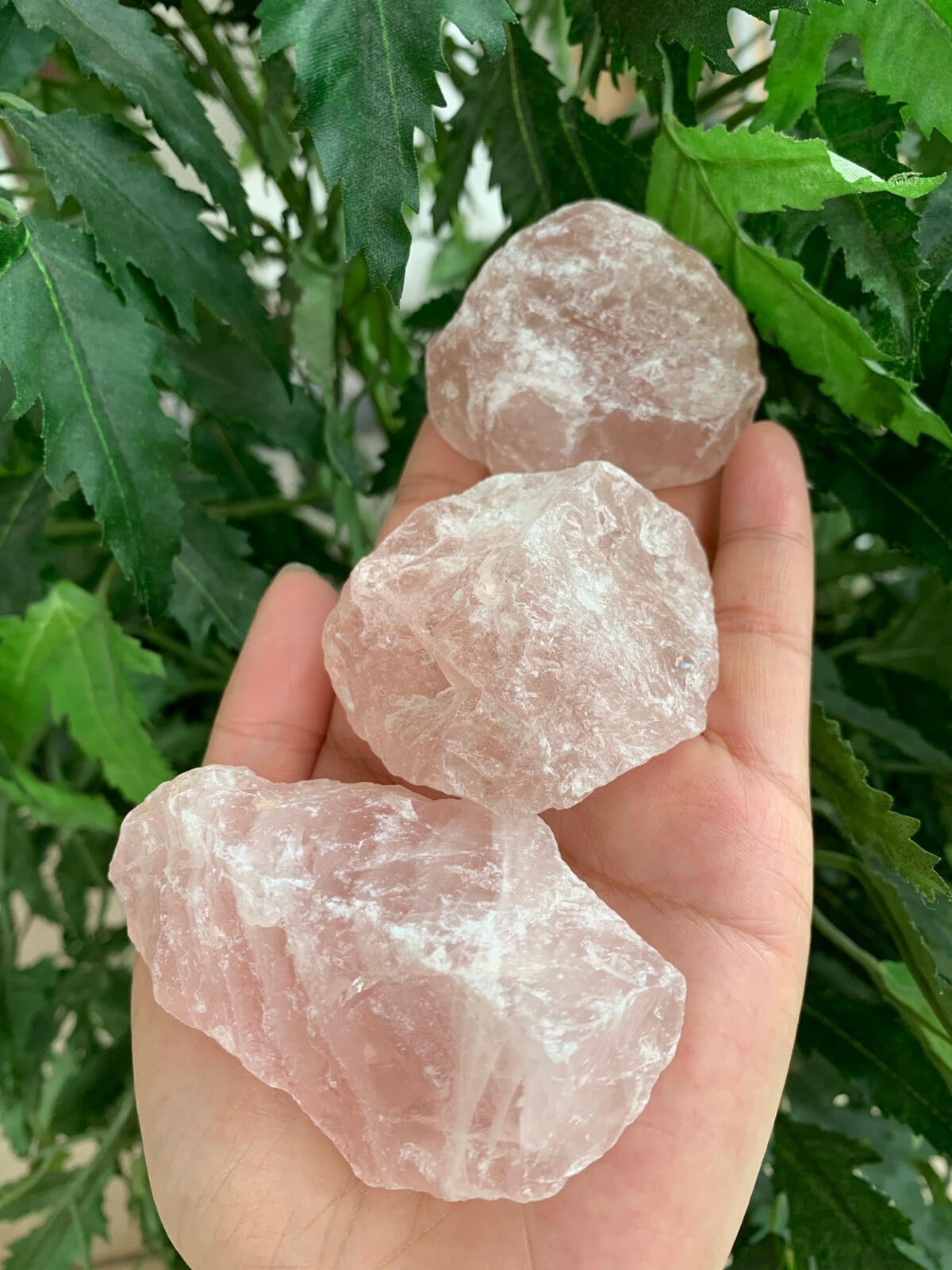 Large Rose Quartz Rough Natural Stones, 2-3″ Raw Rose Quartz,Wholesales Bulk Lot