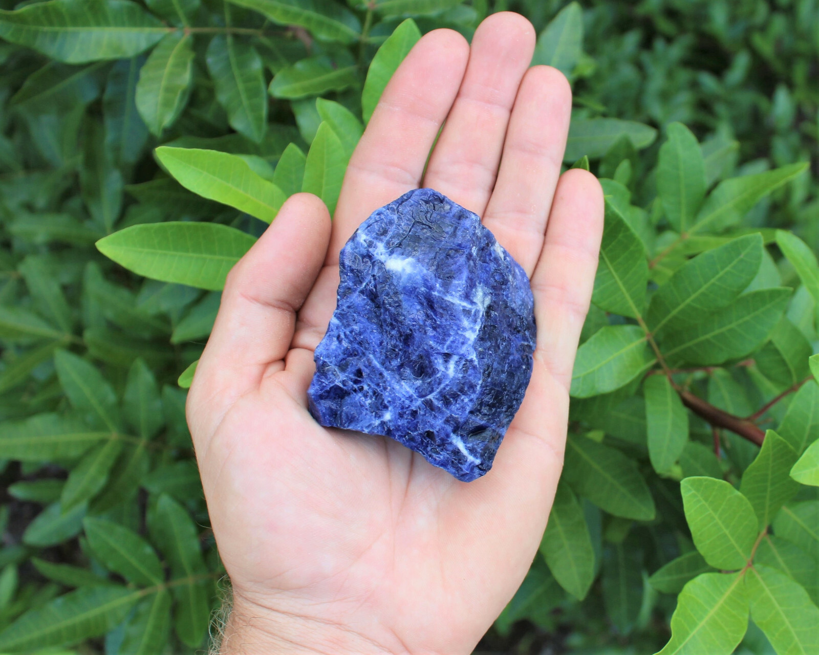 LARGE Rough Sodalite Chunks, 2 – 3″ (Raw Sodalite, ‘A’ Grade Jumbo Crystal)