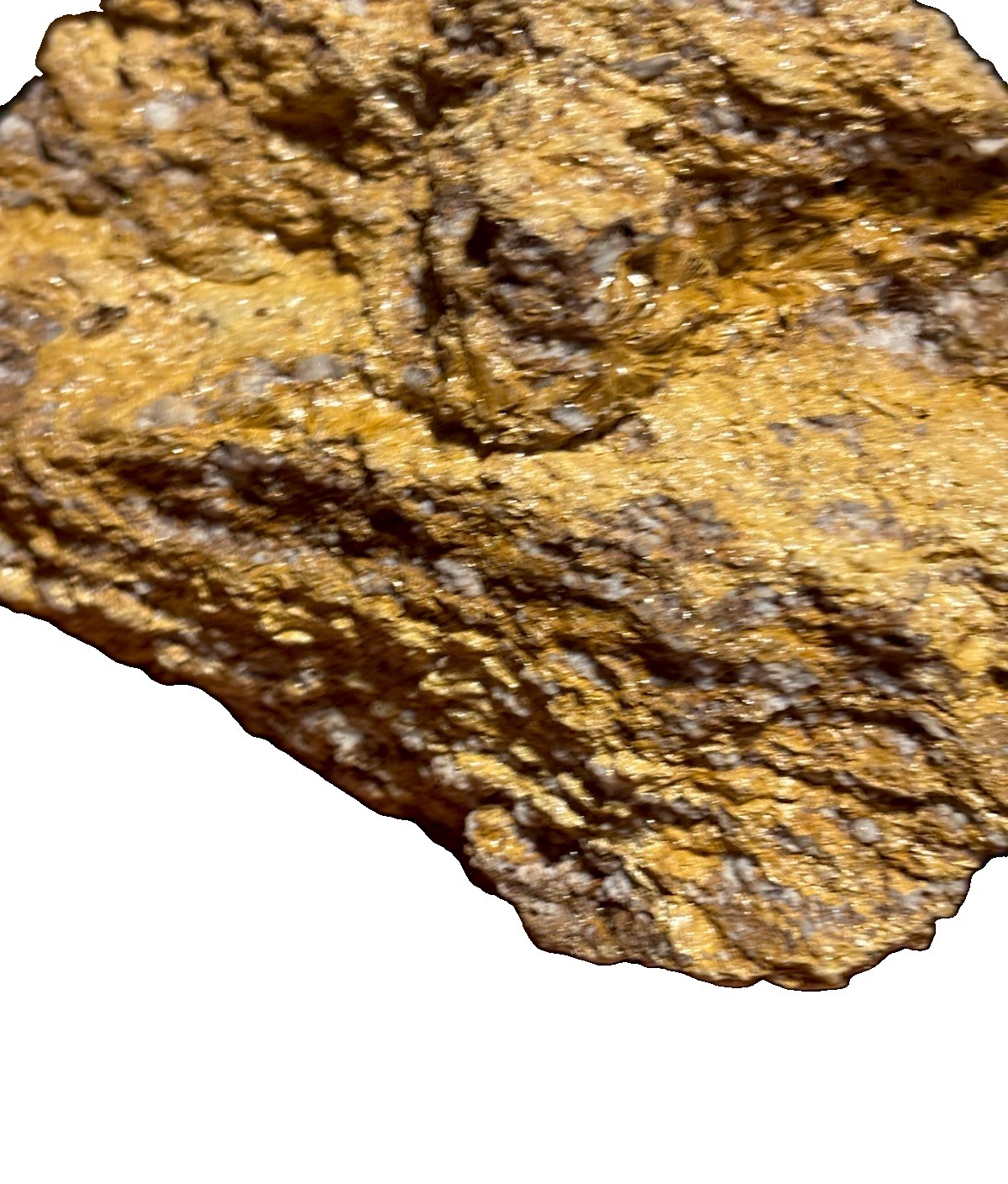 Gold No. 3