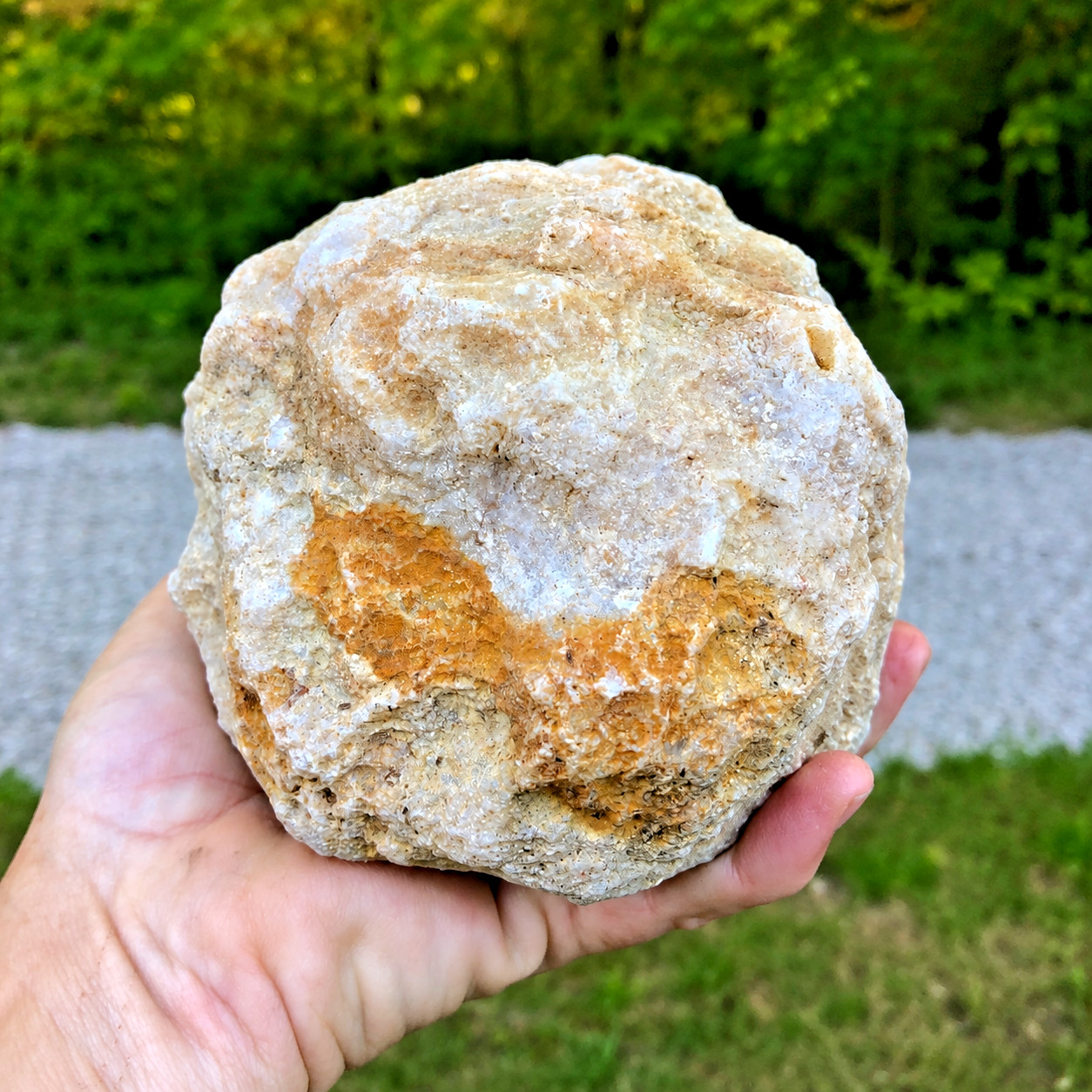 Large Natural Kentucky Geode 4.04 lb 6 in Whole Unopened Exact Mineral Specimen