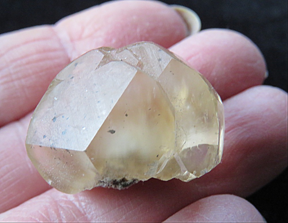 Calcite Crystal w/ Marcasite – 1 1/4″-Berry Quarry, North Vernon, Indiana