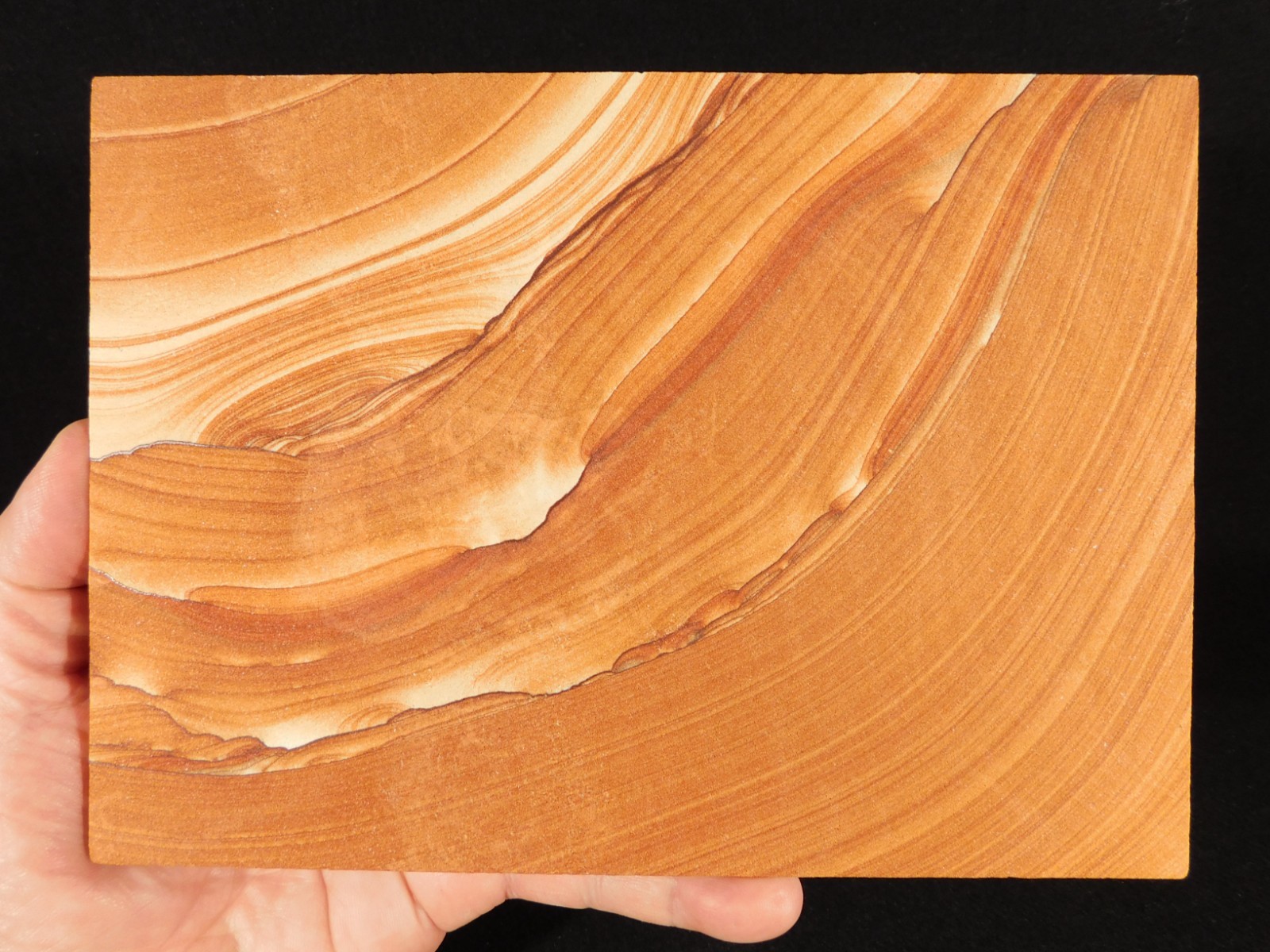 wOw! LARGER PICTURE Stone or SANDSTONE Slice/Slab with Display Stand Utah 541gr