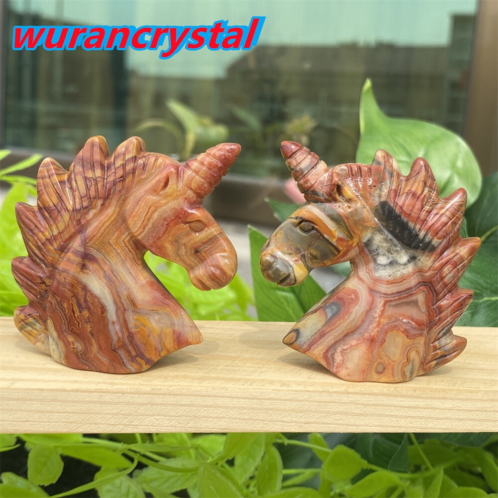 1pc Natural crazy agate unicorn skull quartz crystal carved reiki healing 2”