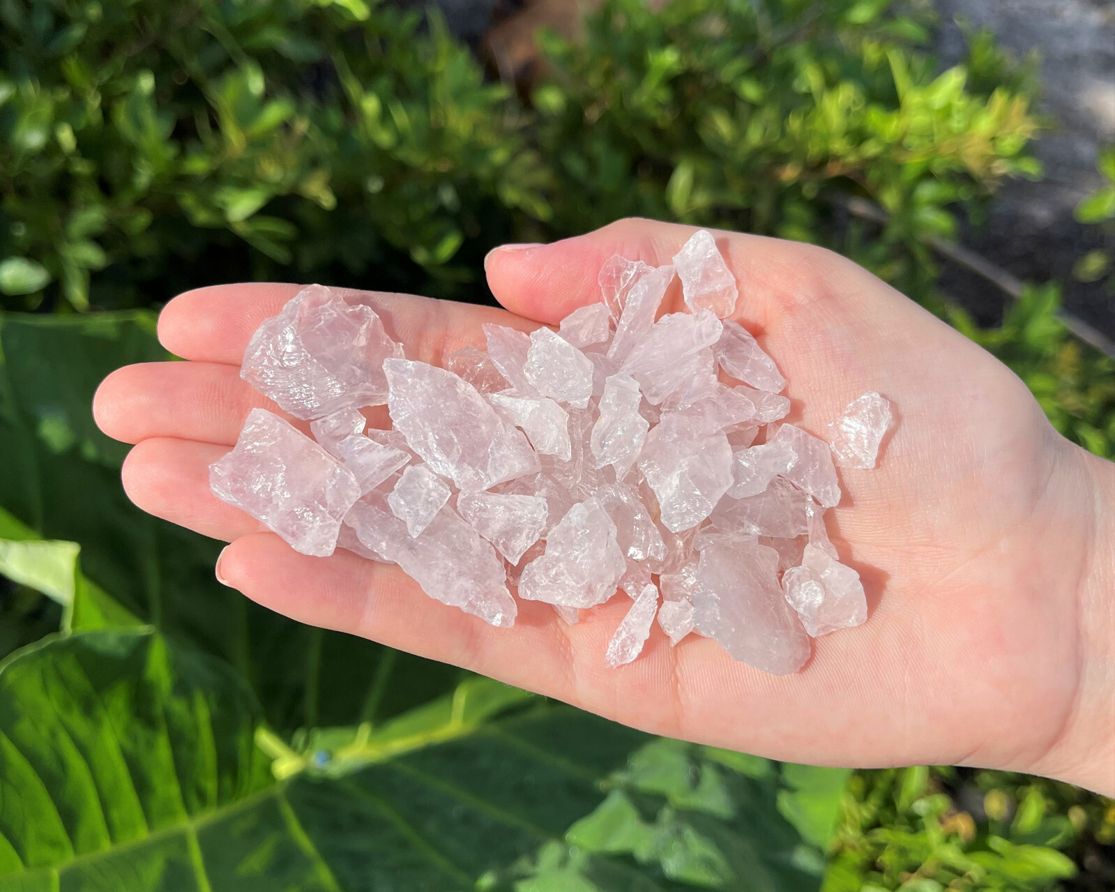 Rough Rose Quartz Cystal Chips, 0.5 – 1.25″, Raw Rose Quartz Wholesale Bulk Lots