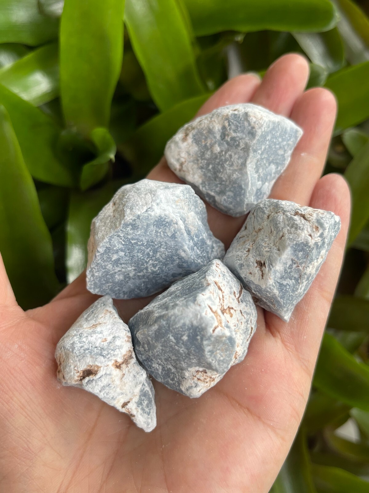 Angelite Raw Stone 1.5-2 Inches, Natural Rough Angelite, Wholesale Bulk Lot