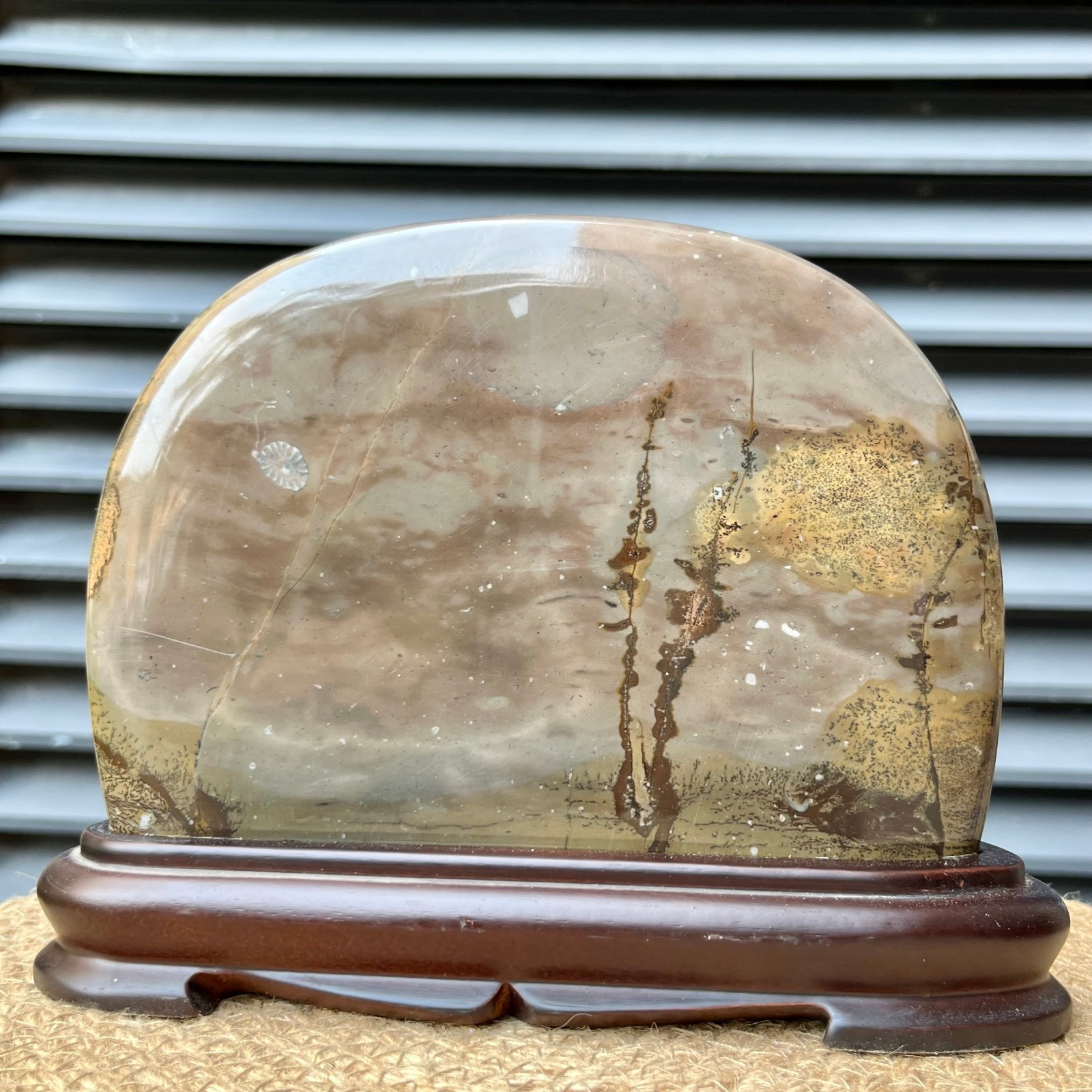 Natural Stone Display Polished Scenic Pattern Art w/ Stand 5.8 lb