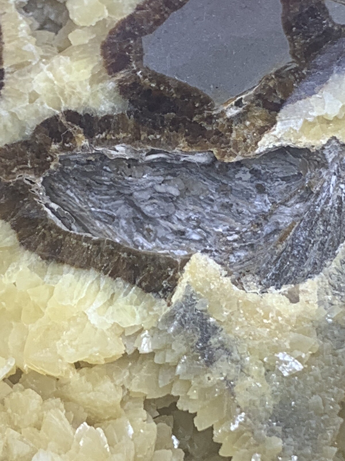 Septarian Nodule Hollow Half ( Utah)fossils And Description Card
