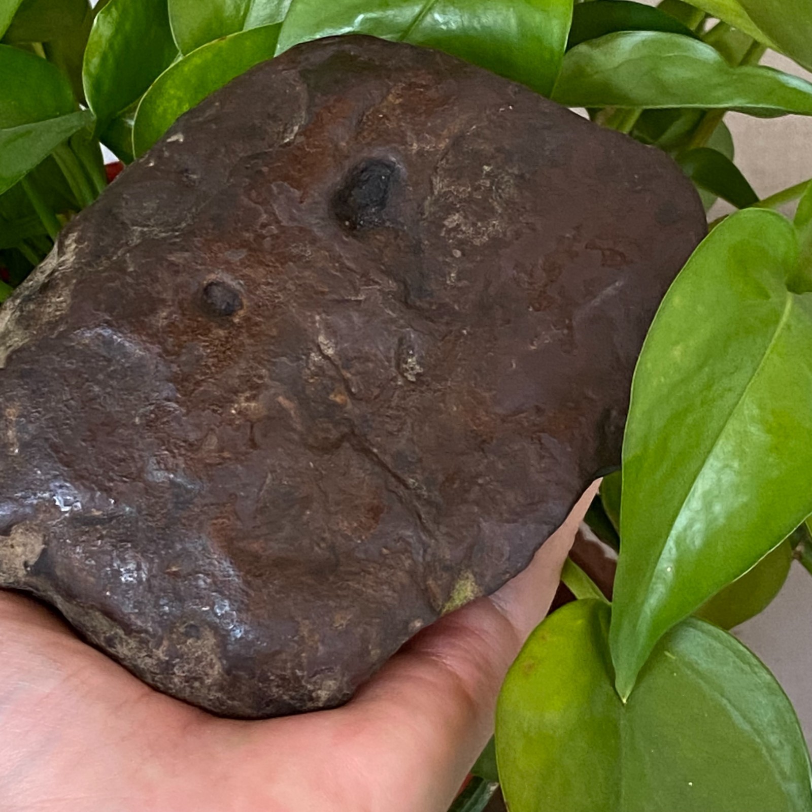 1357g Natural Iron Meteorite Specimen from China W380