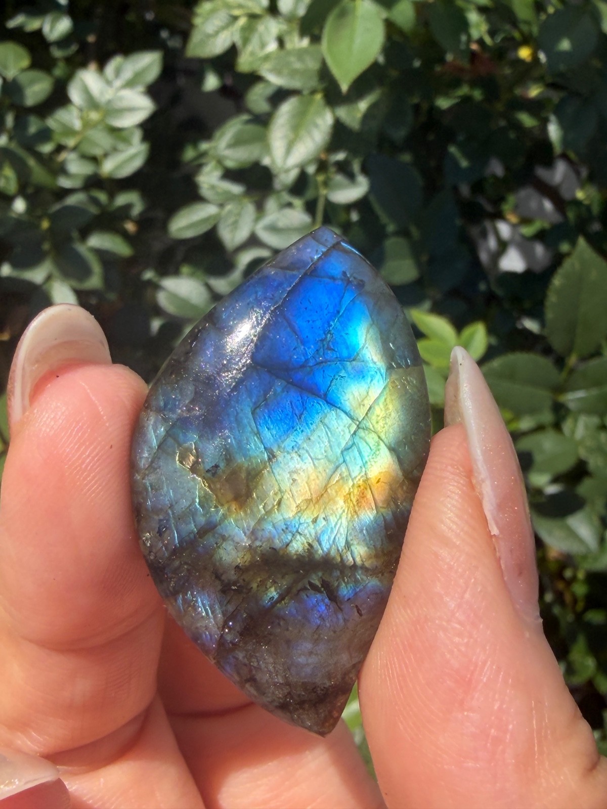 Wholesale Lot 12 Pcs Natural Labradorite Cabochon Crystal Healing Energy