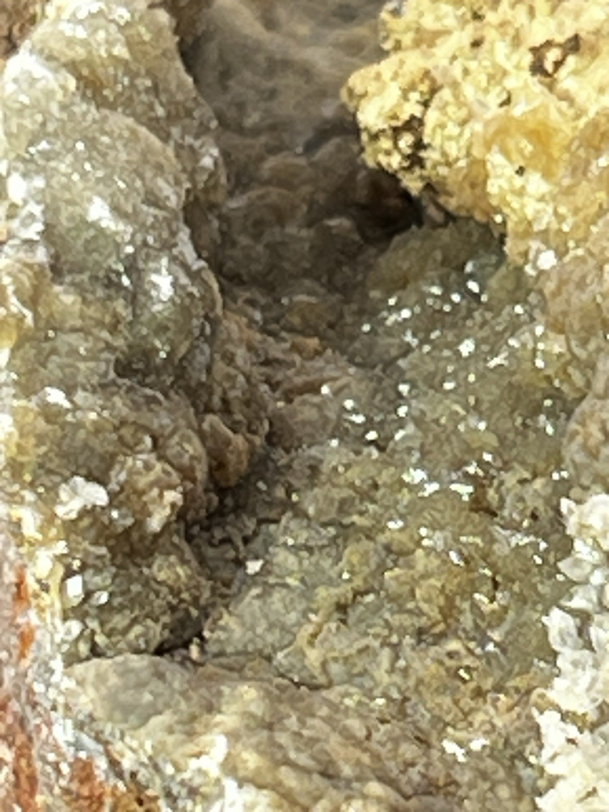 Smithsonite on Sphalerite from Ojuela Mine, Mapimi, Durango, Mex 1 Lb. 10.4 oz.