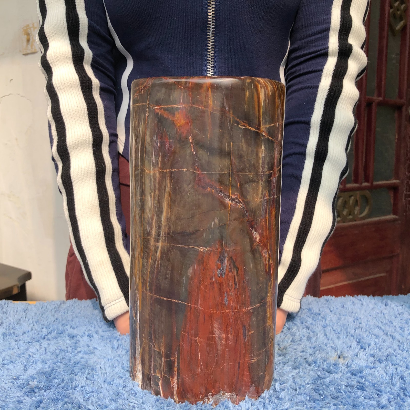 16.3LB Natural wood fossil quartz crystal mineral specimens healing