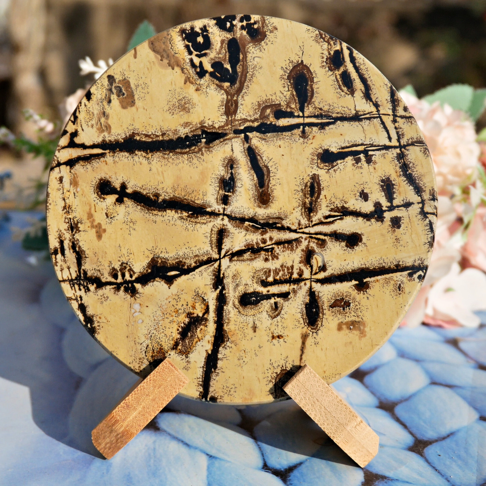 Natural Picture Jasper Landscape Slice 4.7″Large Crystal Display Art Stone Decor