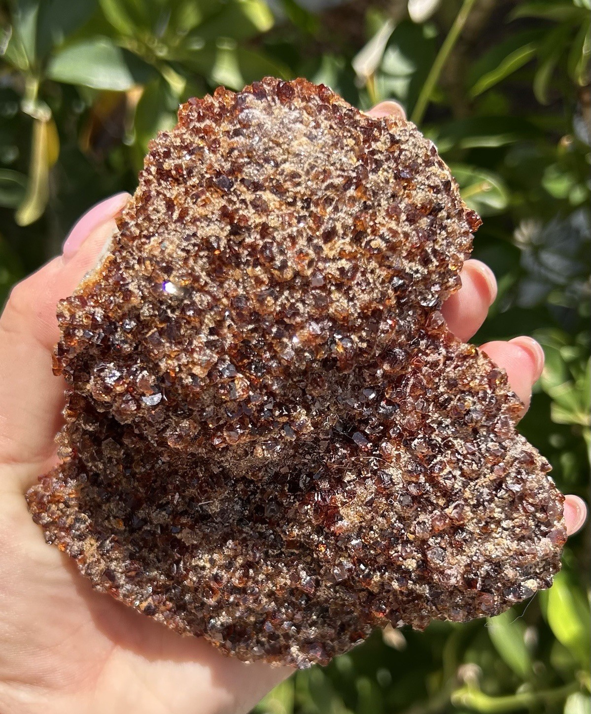 Natural Citrine Crystal Cluster – Sparkling Druzy Honey Quartz Specimen