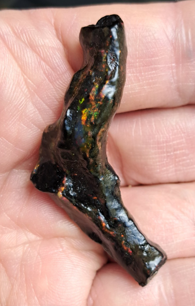 Huge Multicolor 38.52ct Indonesian Wood Opal Fossil Red, Green, & Yellow Flashes