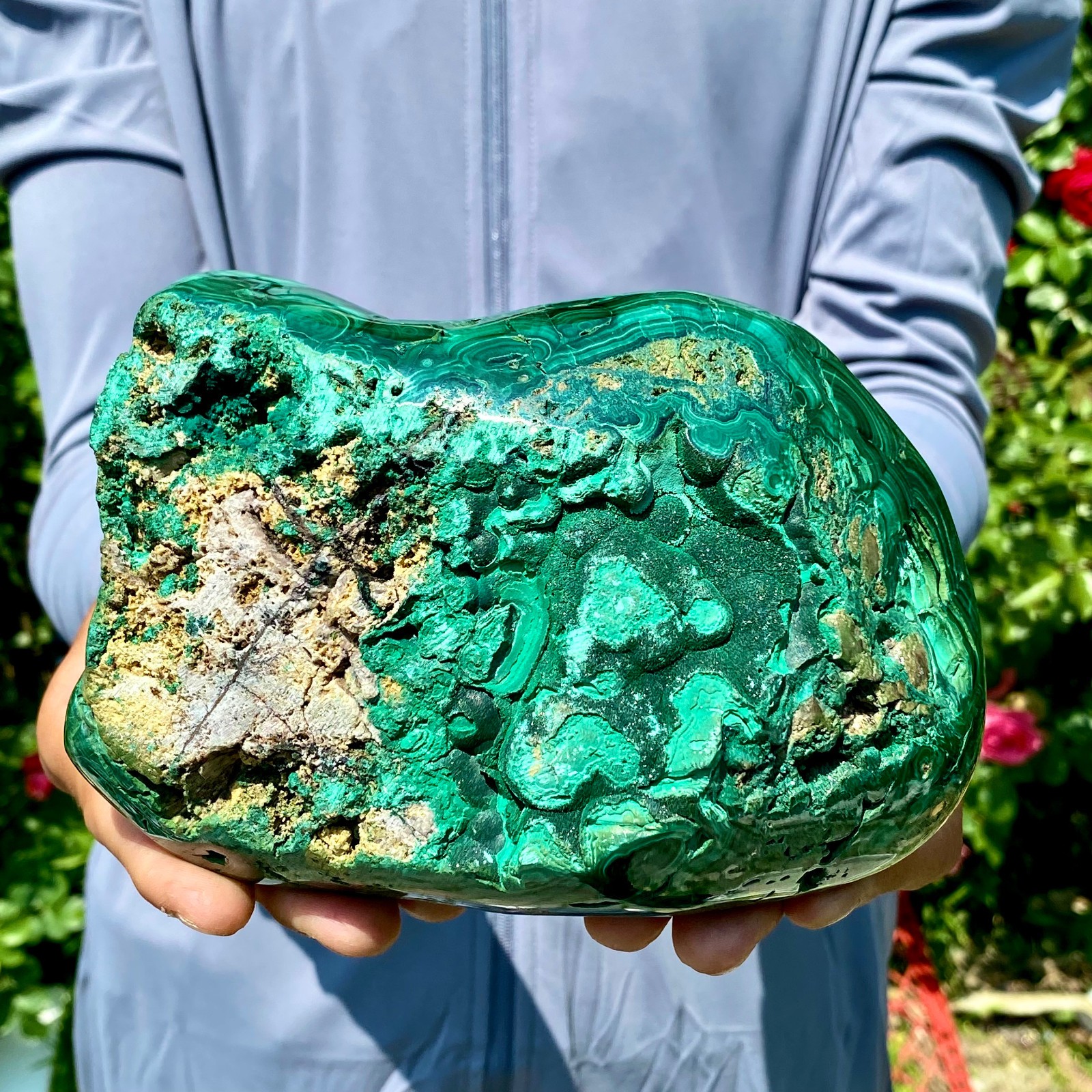3.9LB Natural glossy Malachite egg transparent cluster rough mineral sample