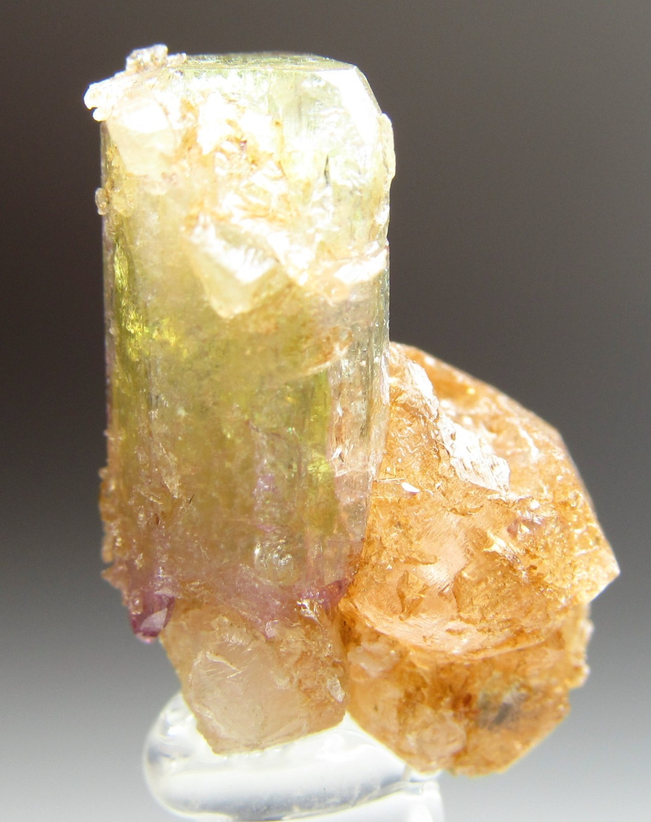 ELEGANT ULTRA RARE COMBO VESUVIANITE, GROSSULAR, DIOPSIDE!!! JEFFREY MINE CANADA