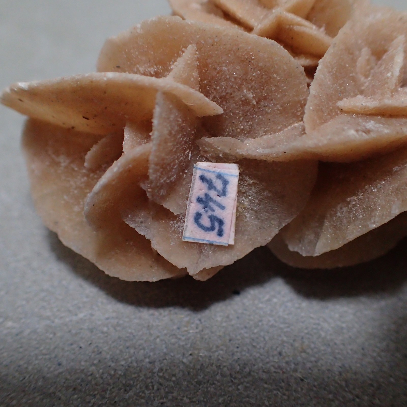 Gypsum var. Selenite, Chottel Djerid, Kebeli Gouernorate, Tunisia
