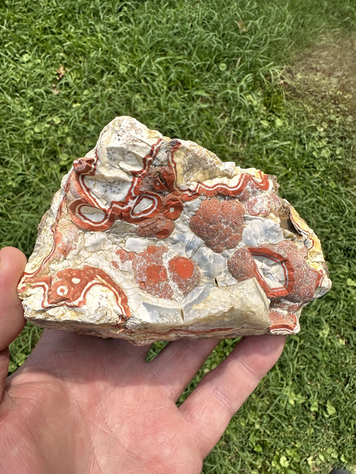 Large Natural Rare Kentucky Agate Rough from Estill County