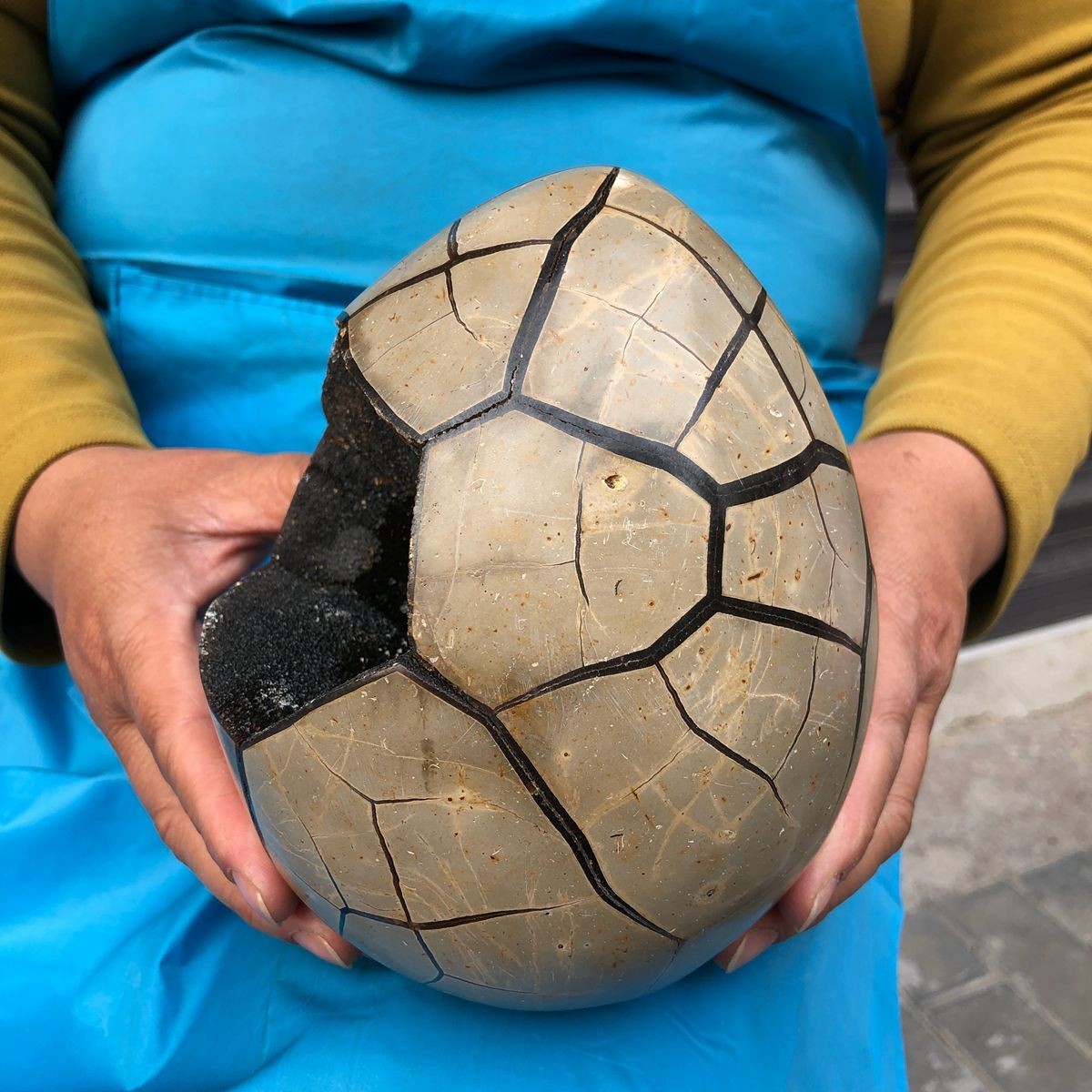 7.23LB Natural Septarian Dragon Egg Geode with Lid Reiki Energy Healing Crystal