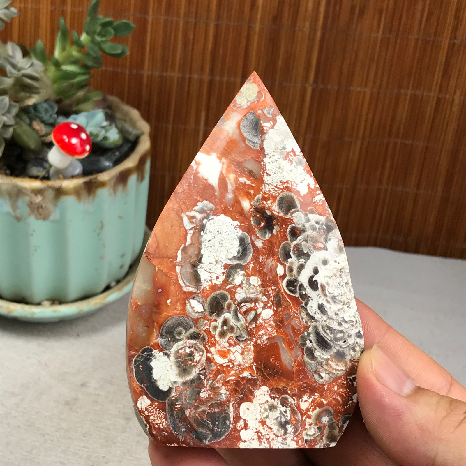 Natural money Mexico agate hand carve leaf Crystal Specimen free standing A6266