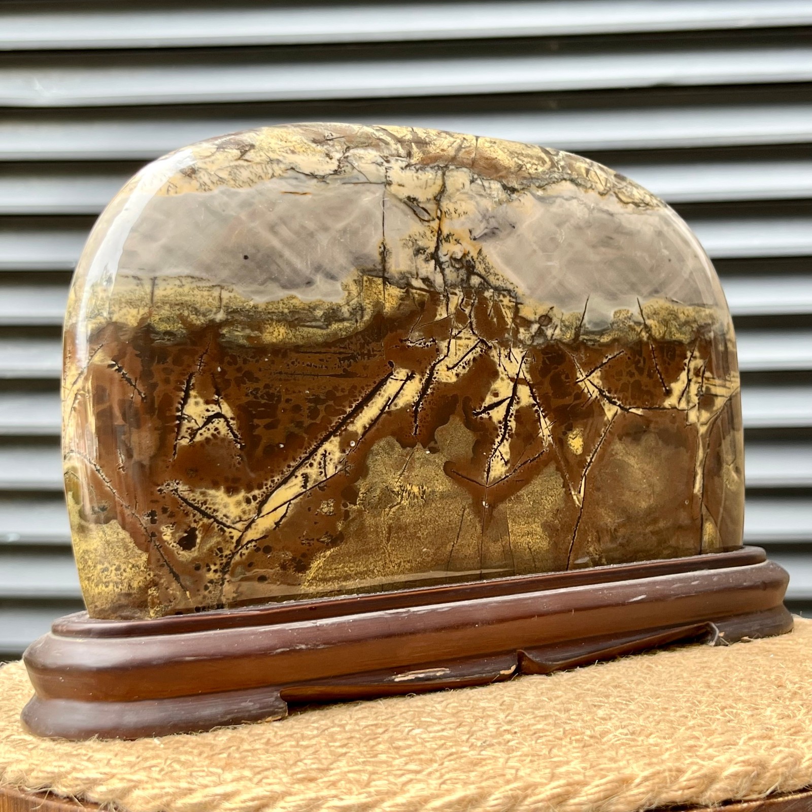 6.2 lb Natural Scenic Stone Display Polished Pattern Art w/ Wood Stand